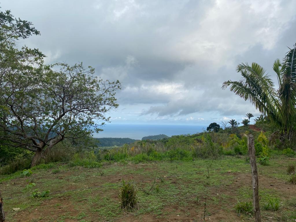 0 bed Land For Sale in Samara, Guanacaste - thumb 2