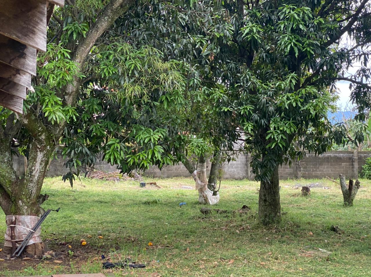 8 bed Land For Sale in Heredia, Heredia - thumb 7