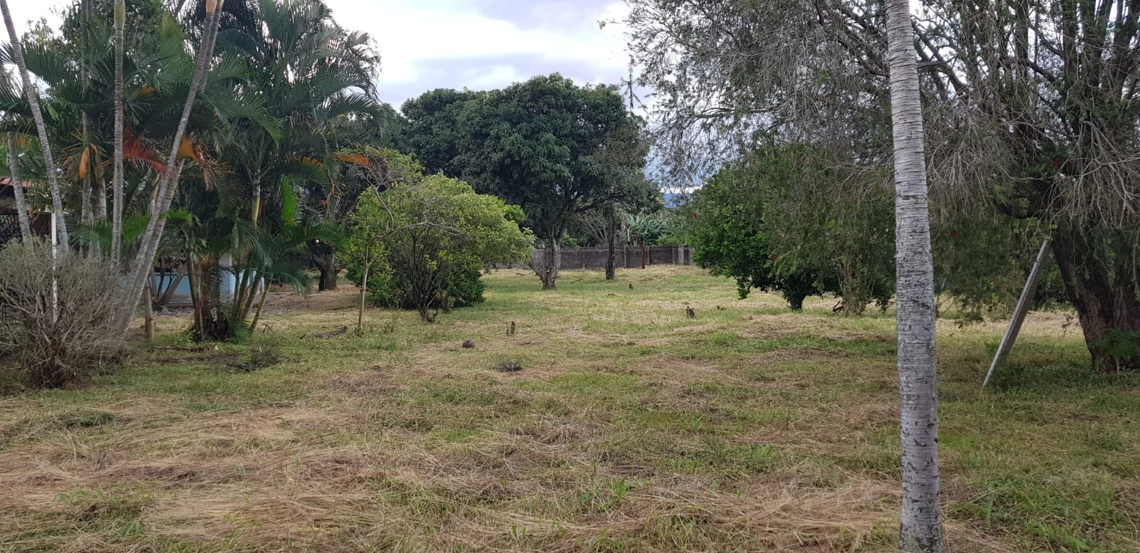 8 bed Land For Sale in Heredia, Heredia - thumb 9