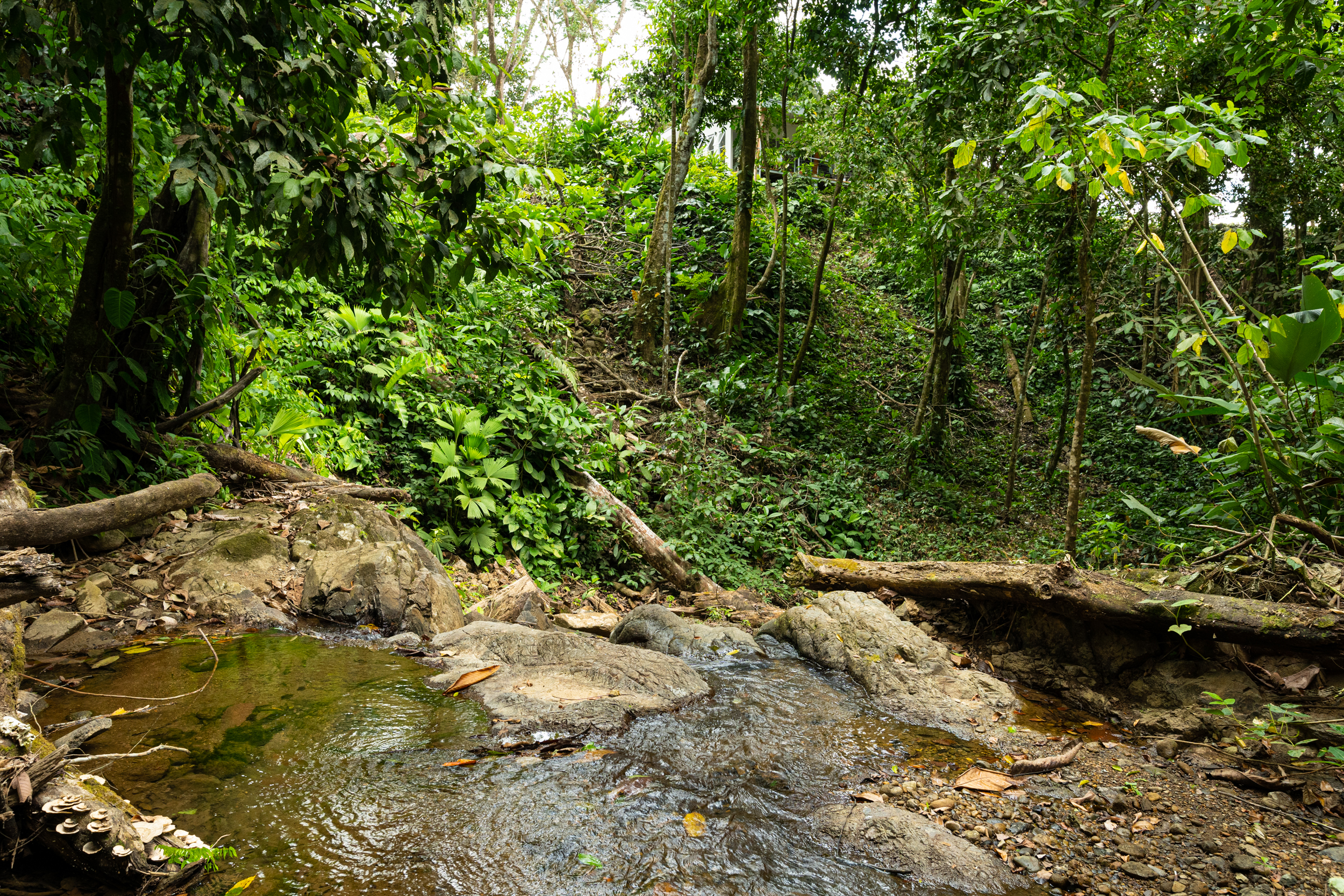 3 bed Single Family Homes For Sale in Ojochal, Puntarenas - thumb 28