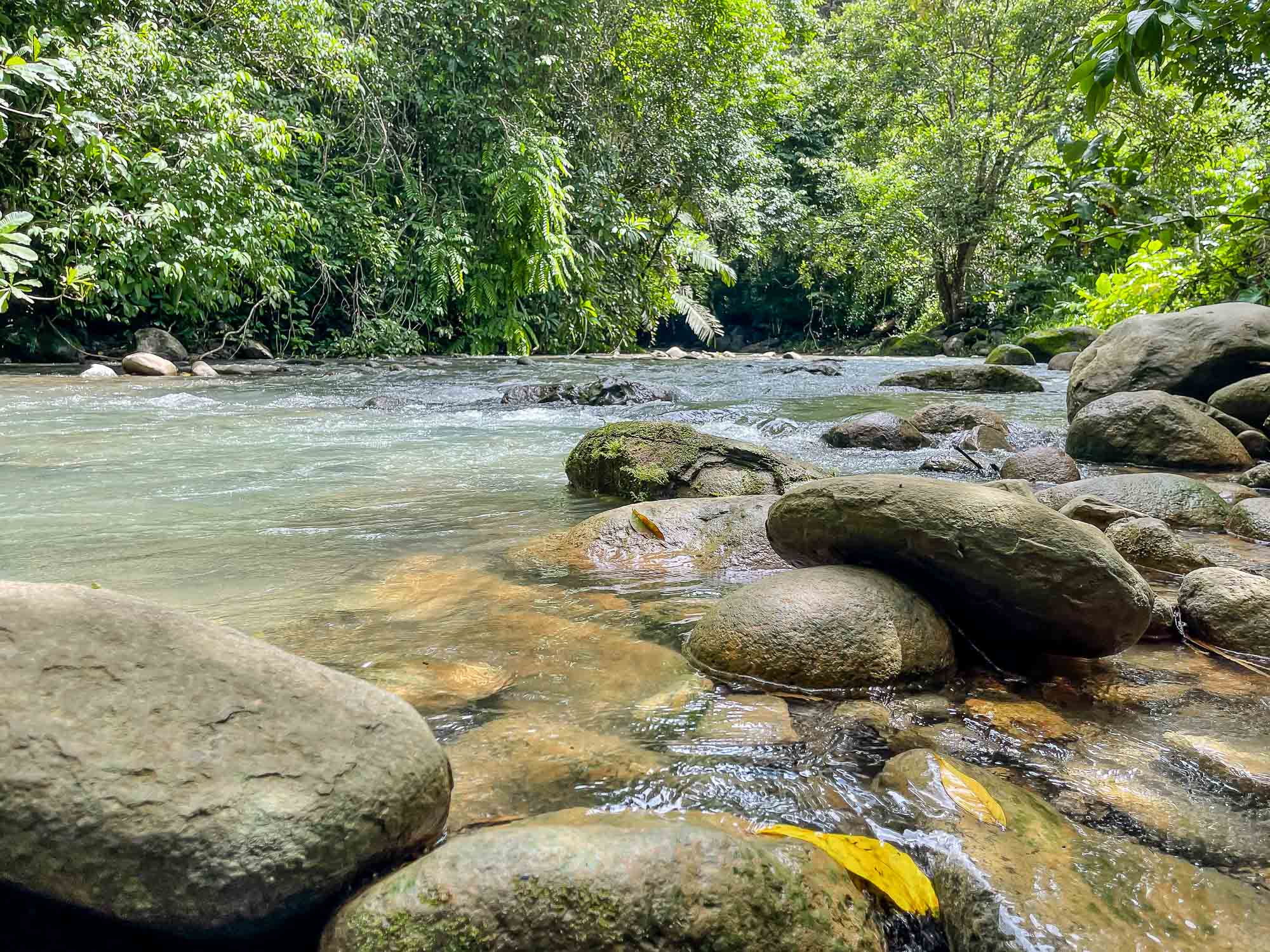 4 bed Single Family Homes For Sale in Ojochal, Puntarenas - thumb 24
