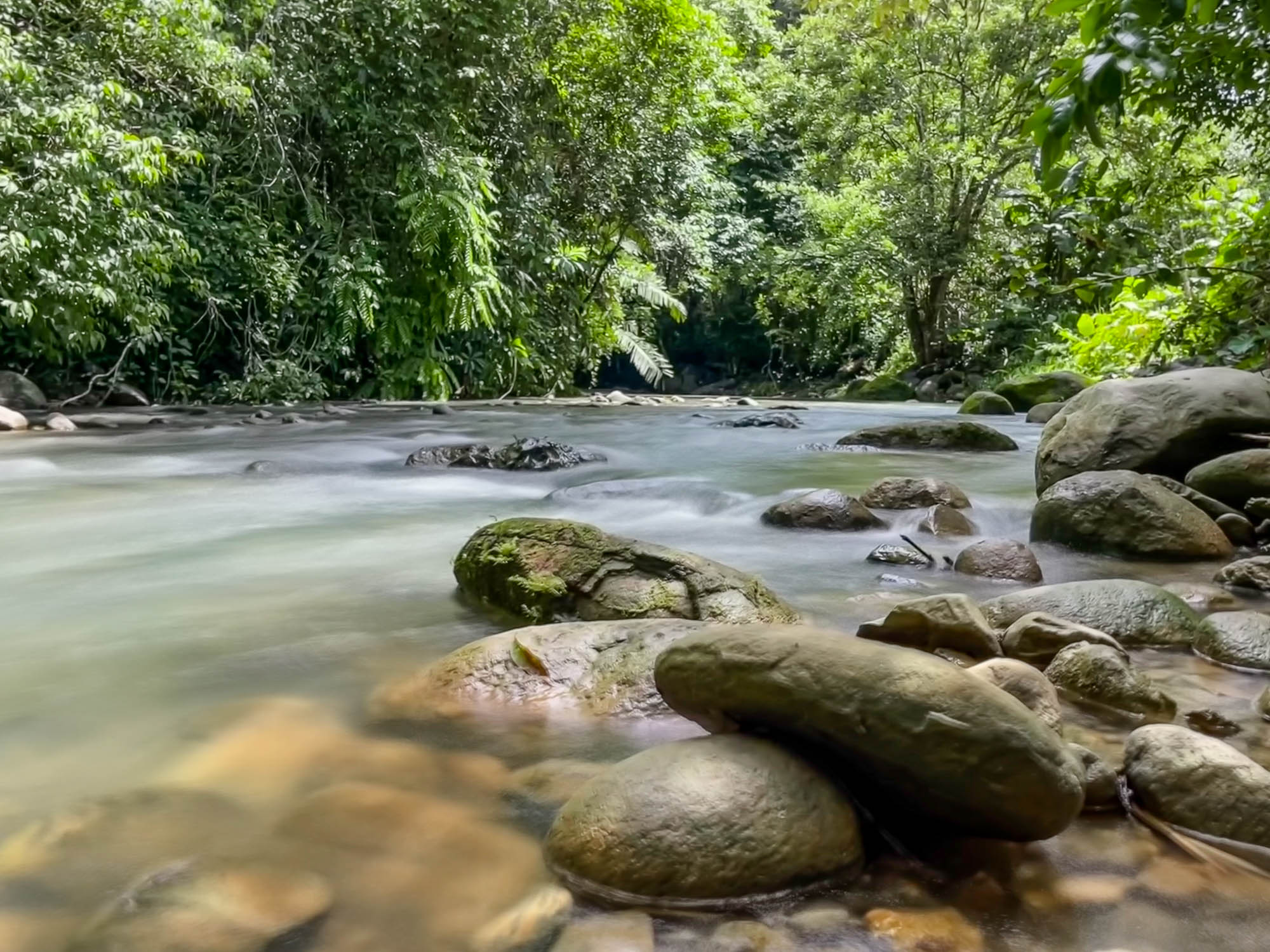 4 bed Single Family Homes For Sale in Ojochal, Puntarenas - thumb 25