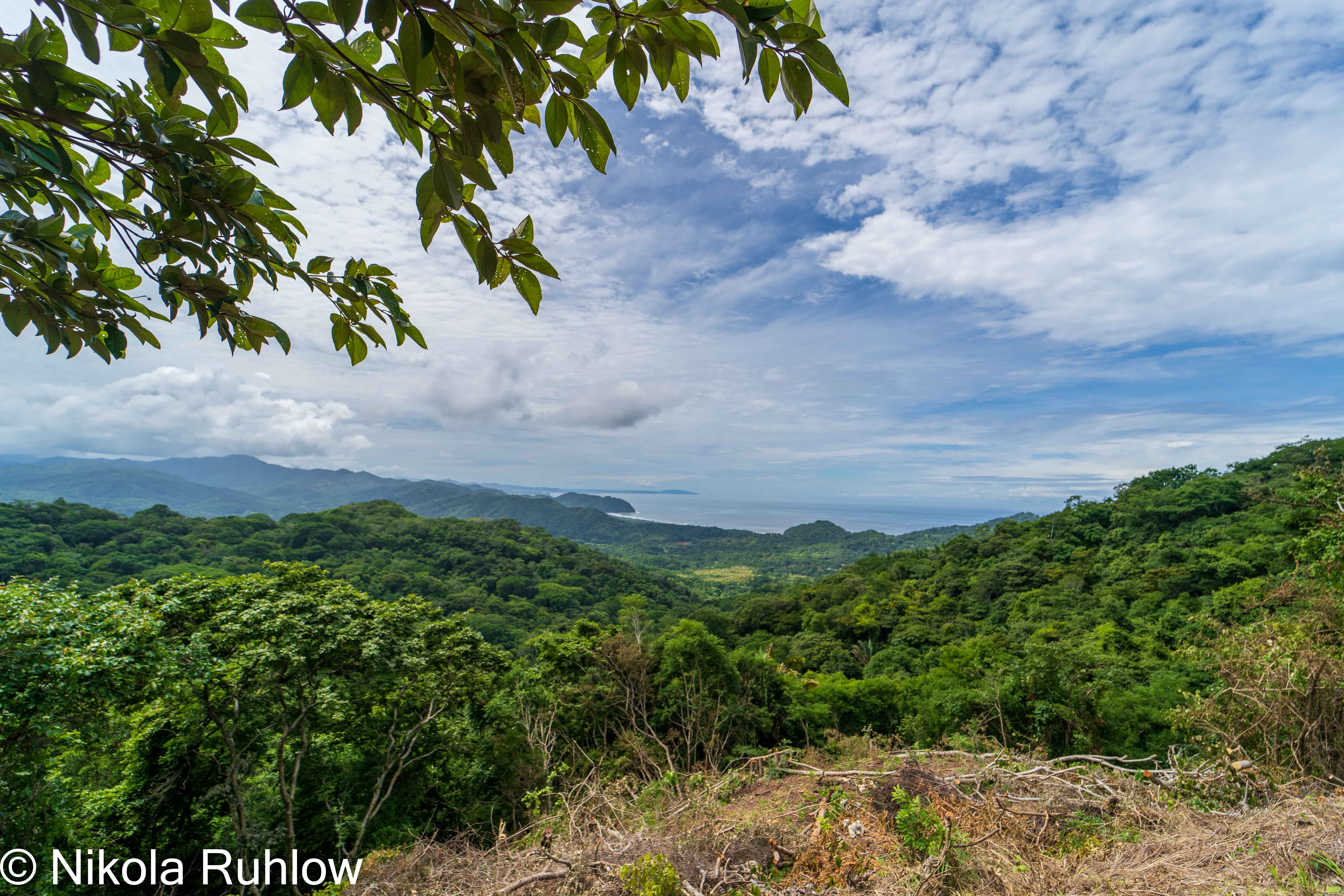 0 bed Land For Sale in Playa Carrillo, Guanacaste - thumb 8
