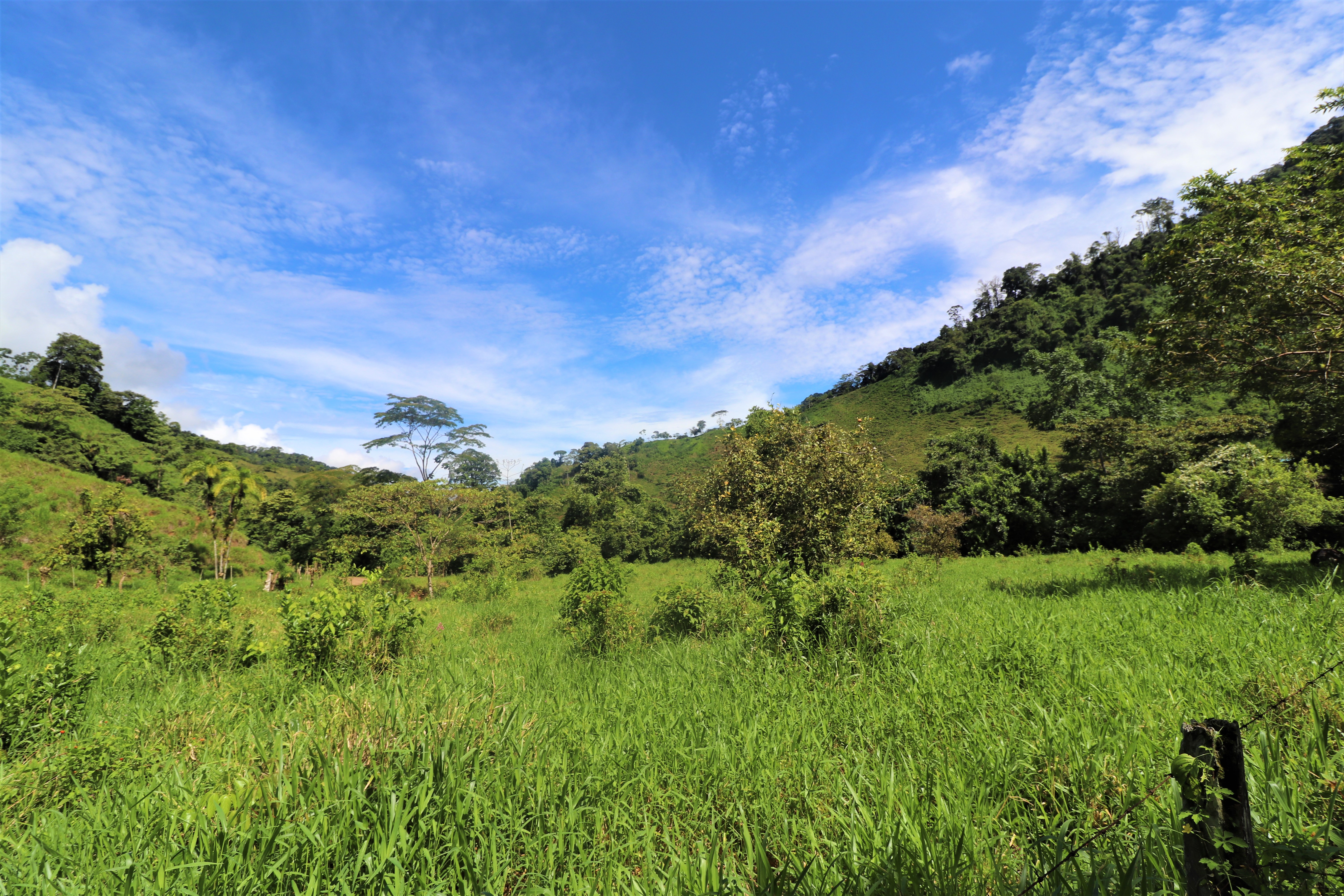 0 bed Land For Sale in San Isidro, Puntarenas - thumb 16