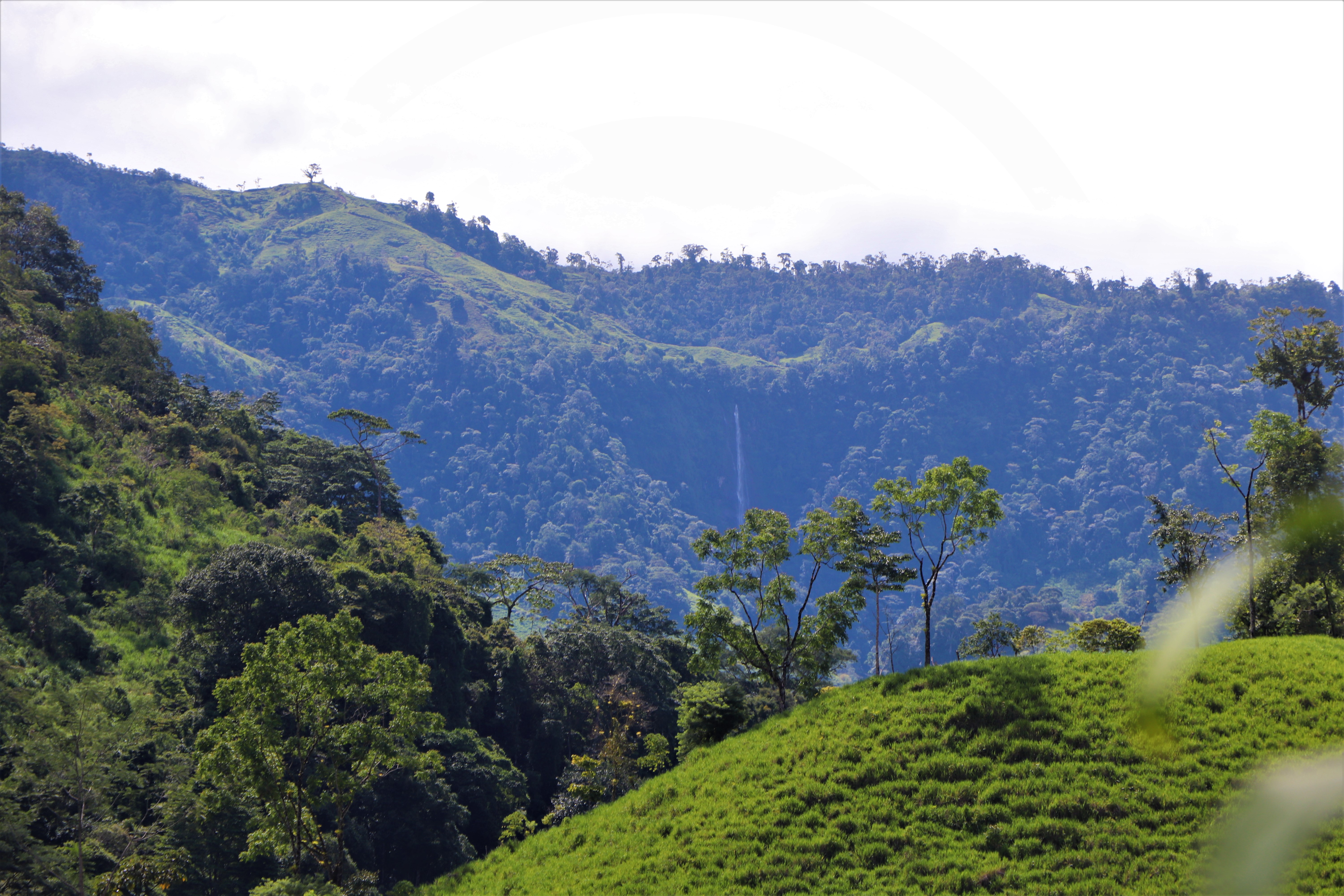 0 bed Land For Sale in San Isidro, Puntarenas - thumb 8