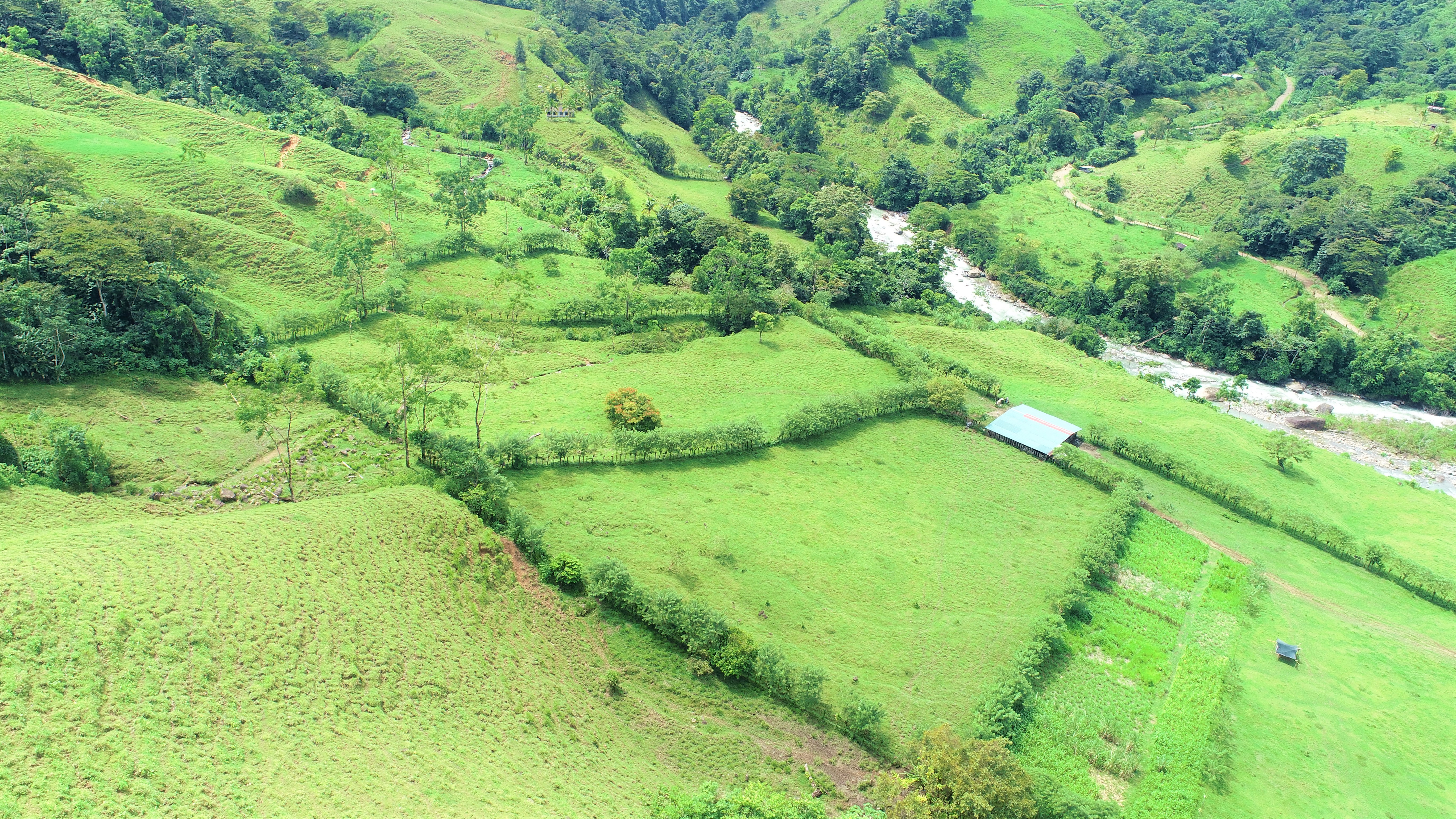 0 bed Land For Sale in San Isidro, Puntarenas - thumb 5