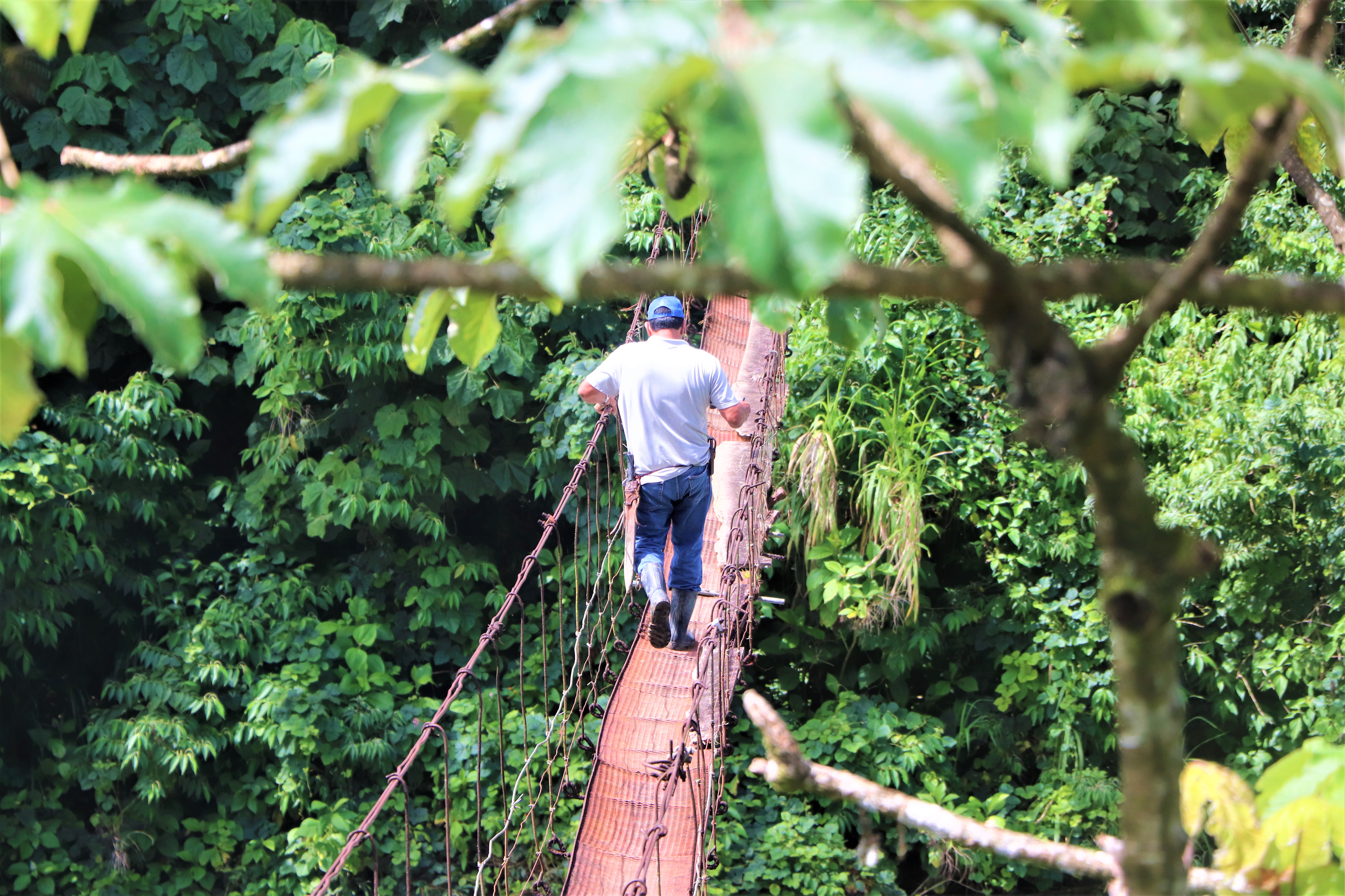 0 bed Land For Sale in San Isidro, Puntarenas - thumb 21