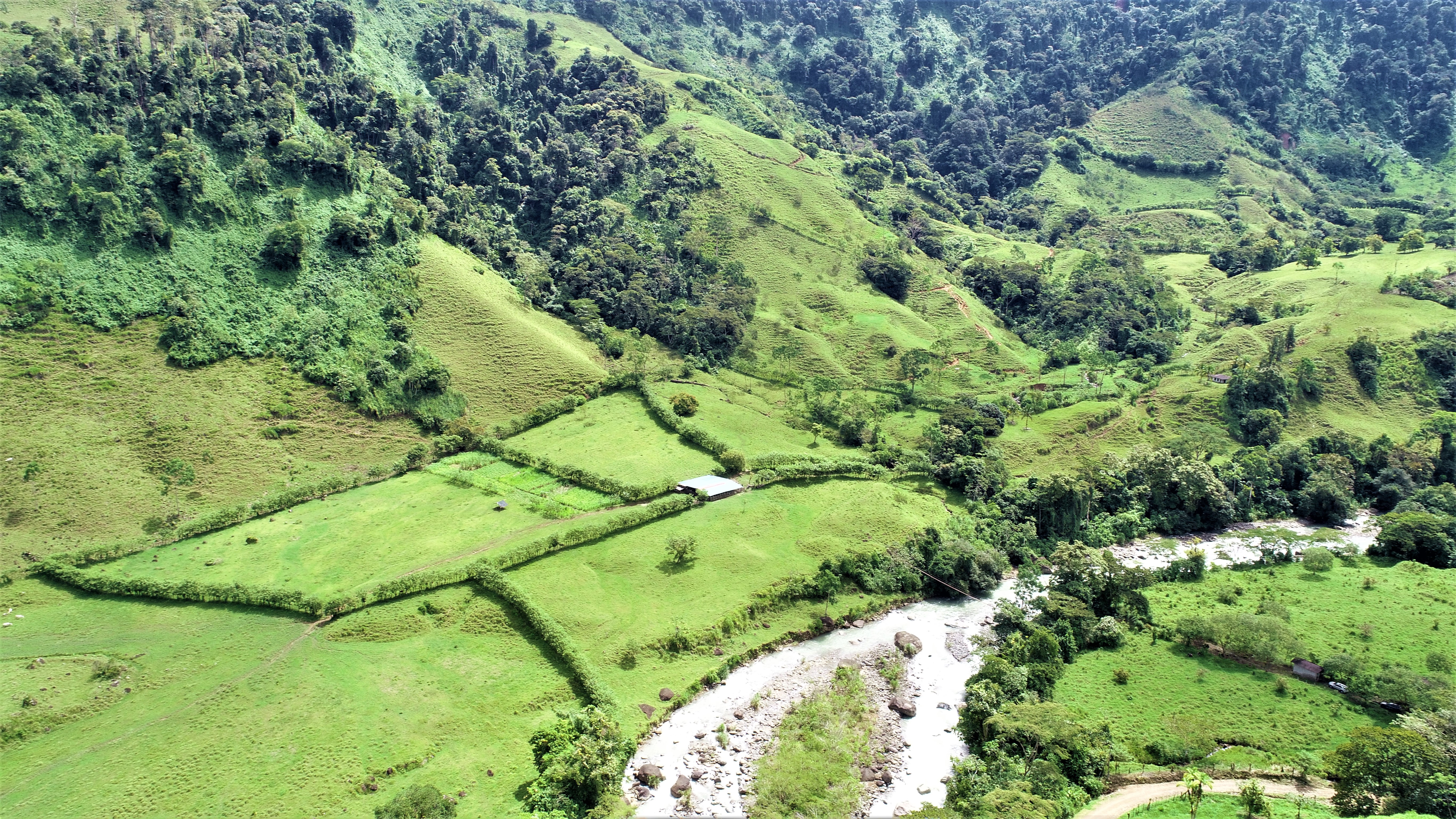 0 bed Land For Sale in San Isidro, Puntarenas - thumb 1