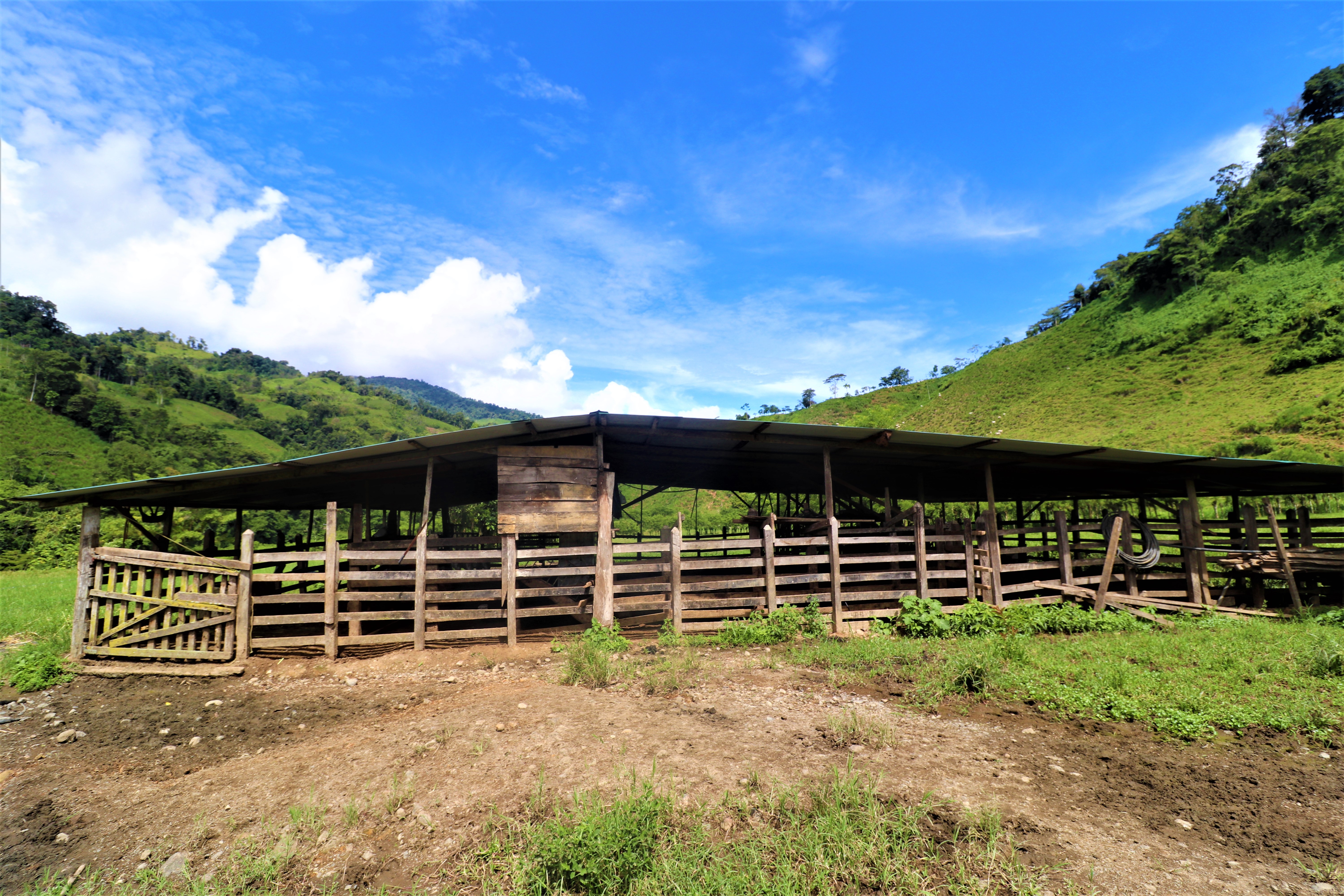 0 bed Land For Sale in San Isidro, Puntarenas - thumb 10