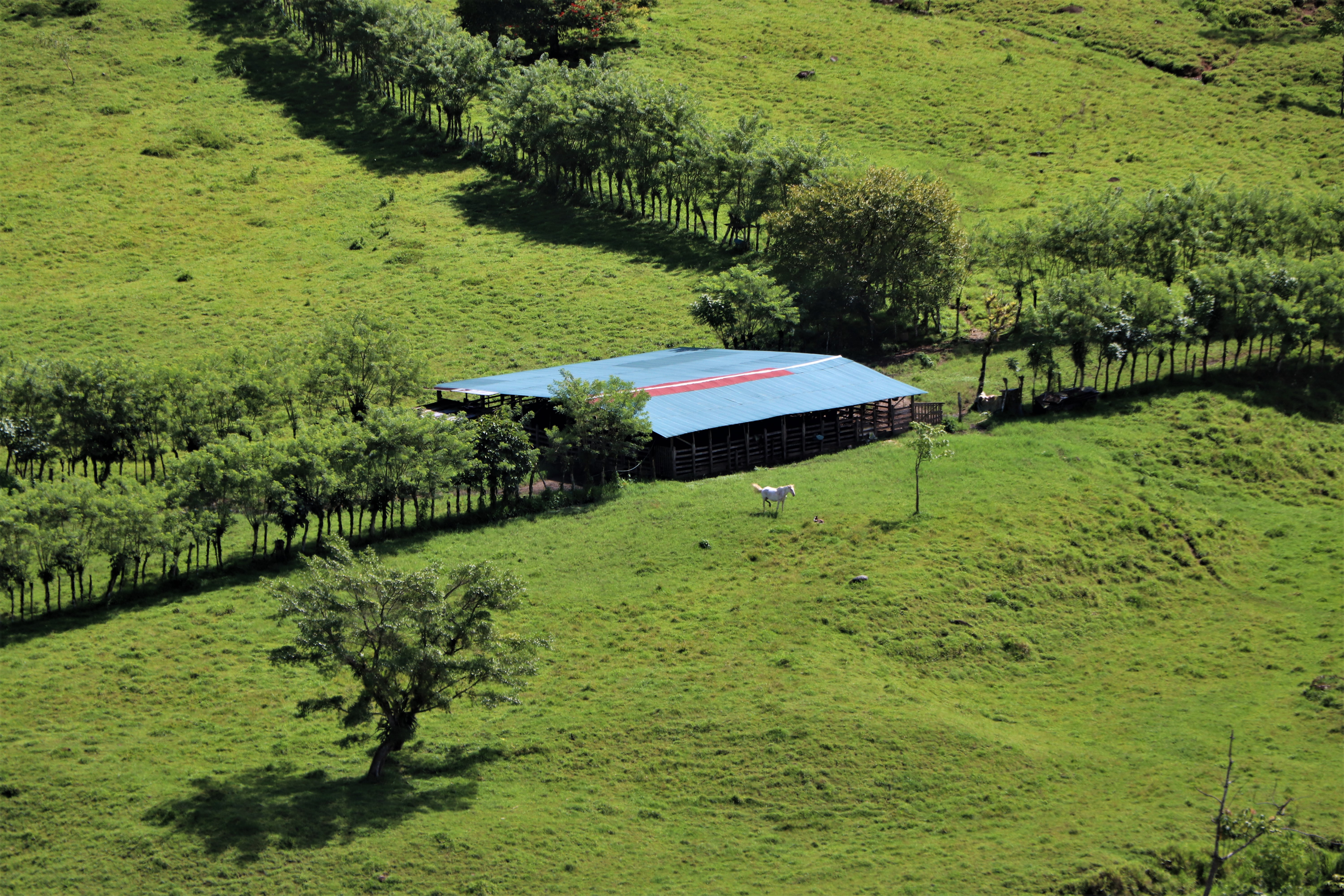 0 bed Land For Sale in San Isidro, Puntarenas - thumb 7