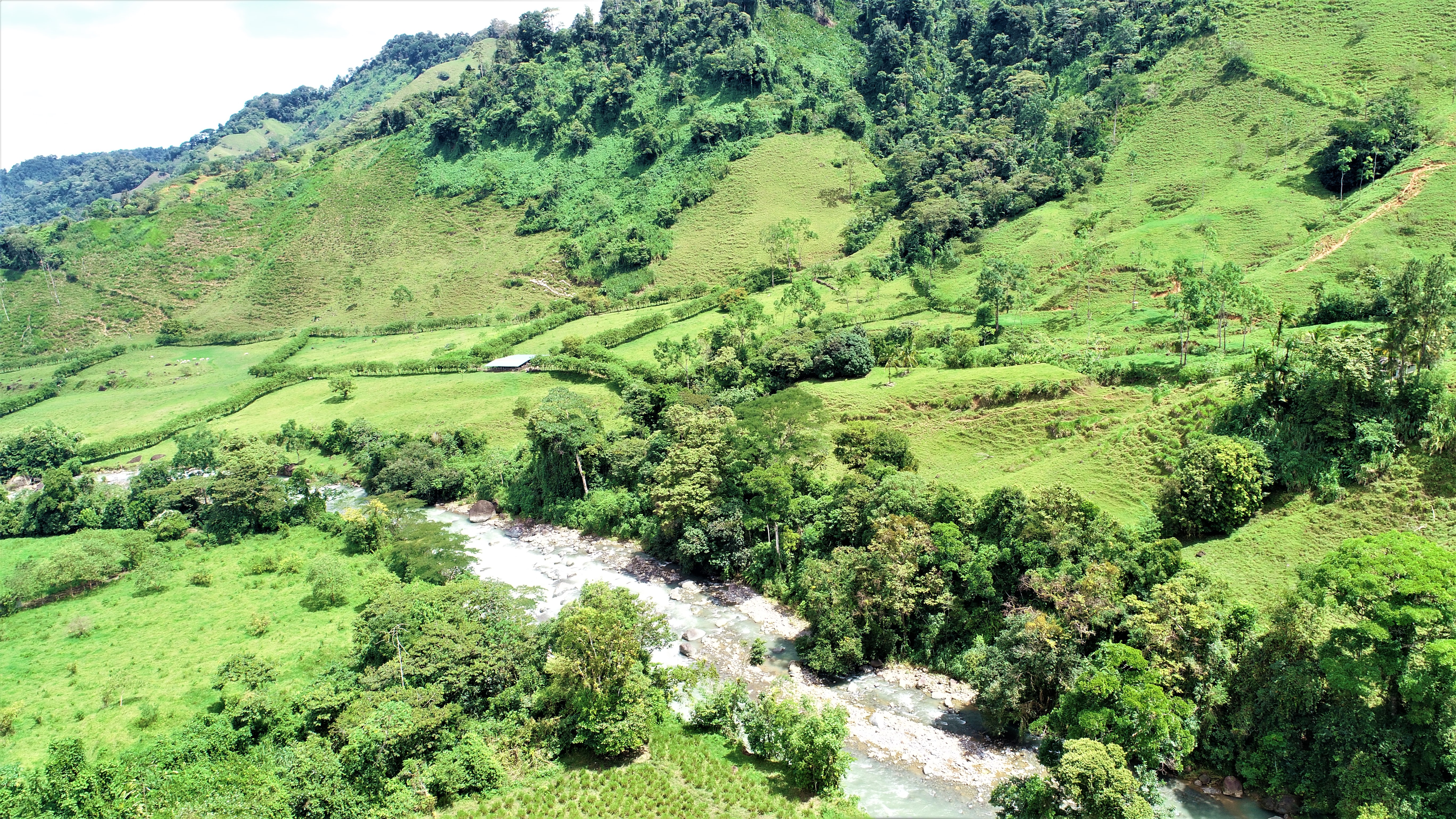 0 bed Land For Sale in San Isidro, Puntarenas - thumb 17