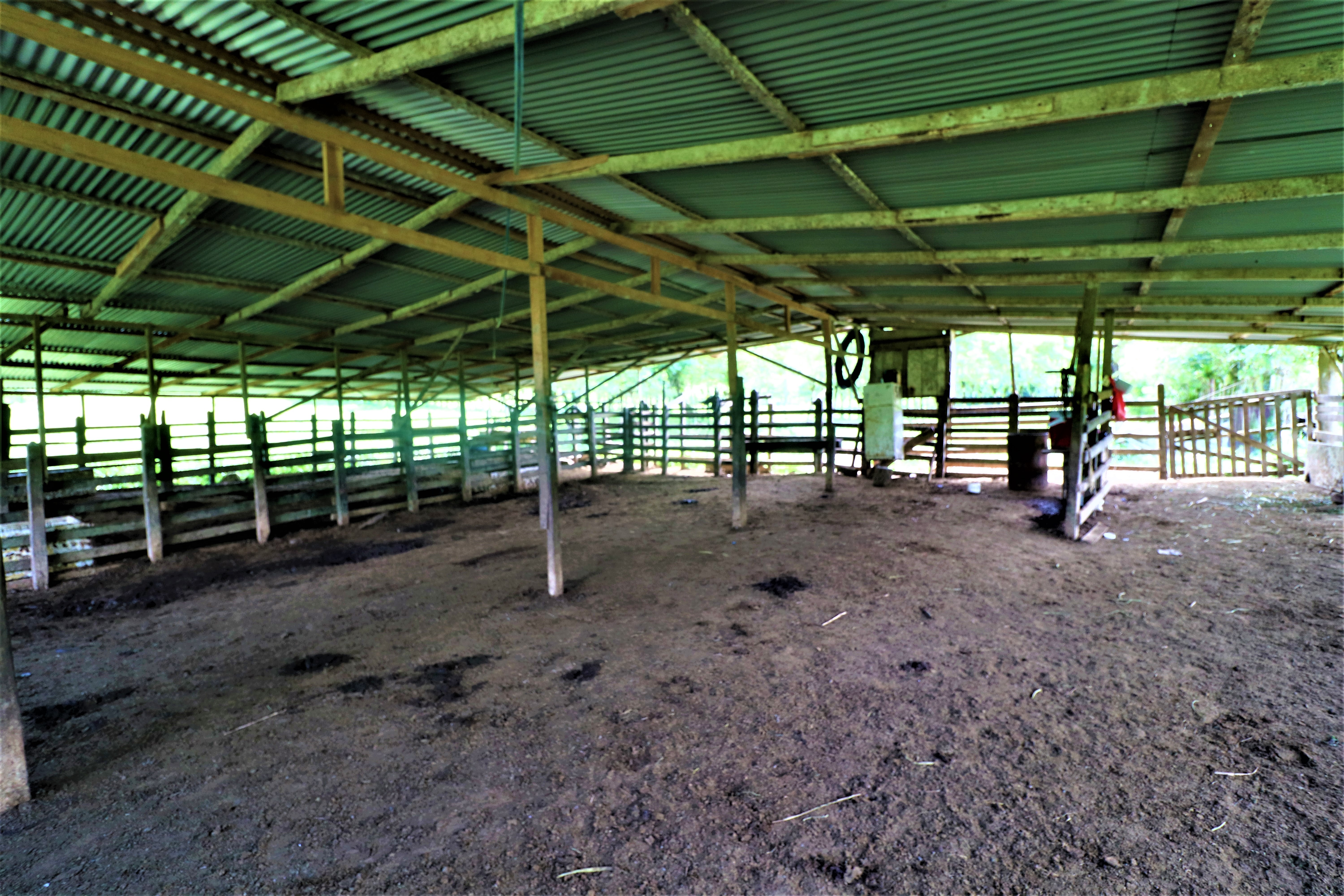 0 bed Land For Sale in San Isidro, Puntarenas - thumb 12