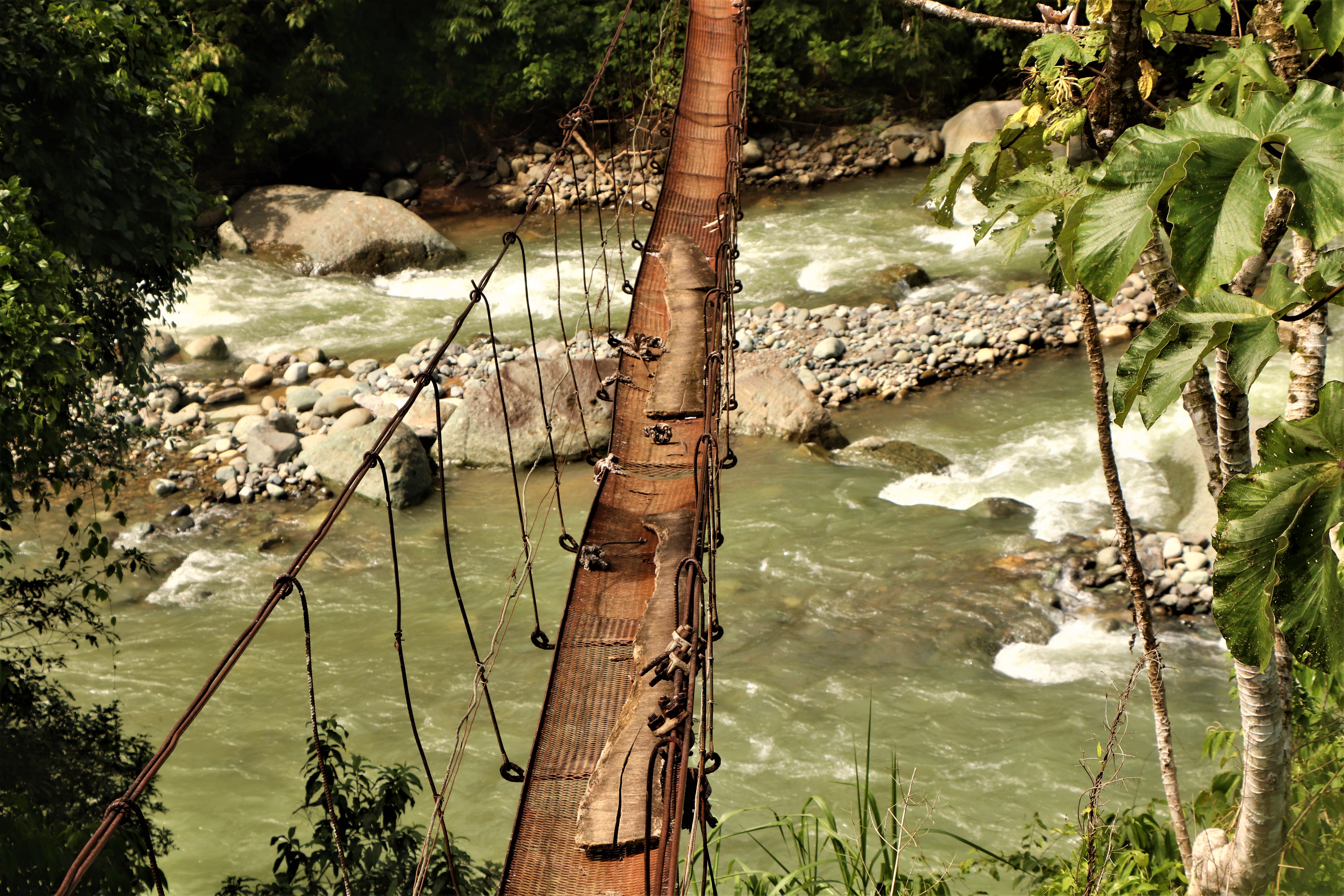 0 bed Land For Sale in San Isidro, Puntarenas - thumb 19