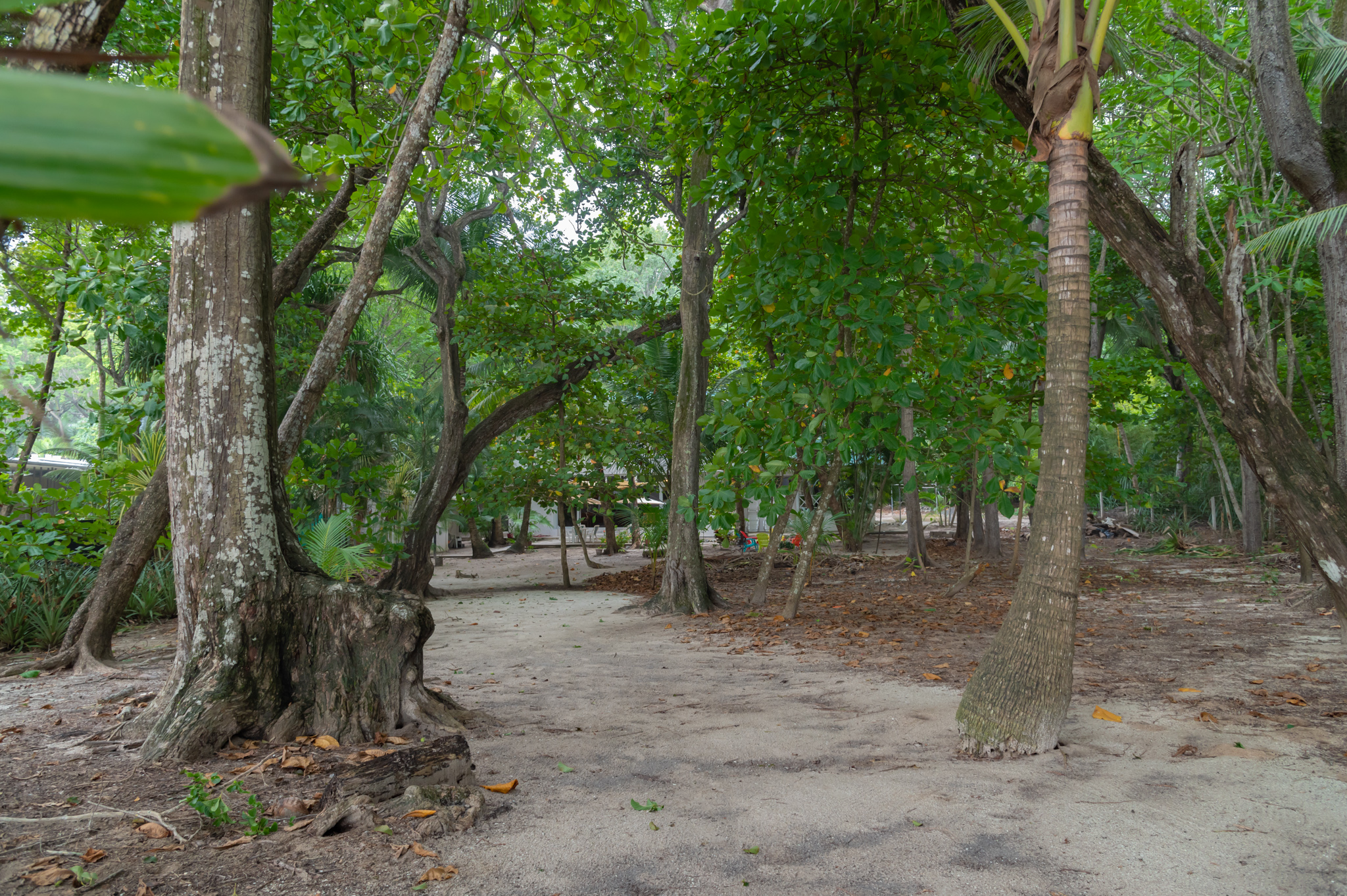 7 bed Single Family Homes For Sale in Santa Teresa, Puntarenas - thumb 4