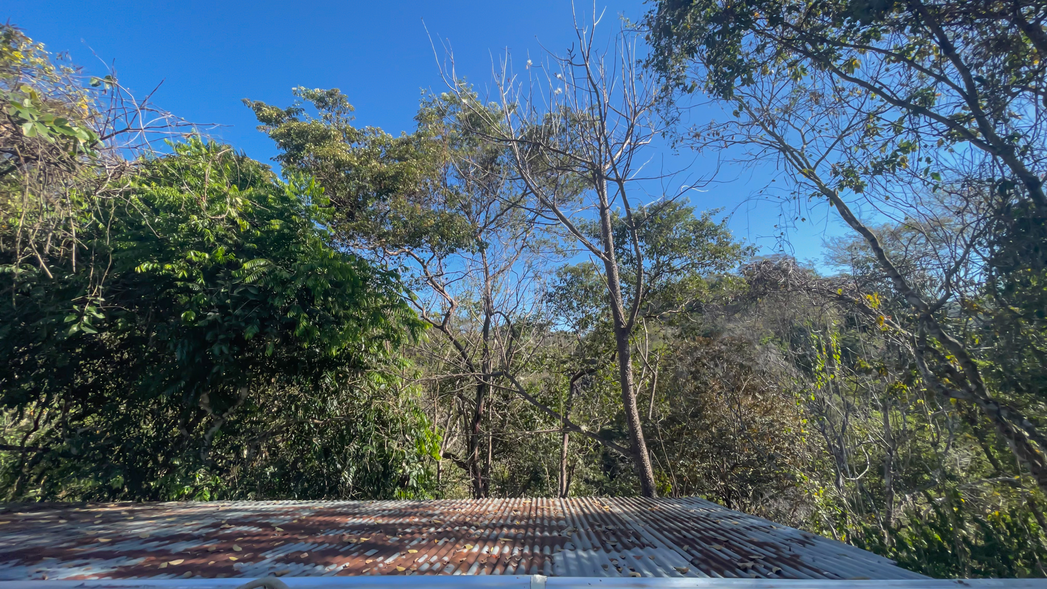 2 bed Land For Sale in Malpais, Puntarenas - thumb 9