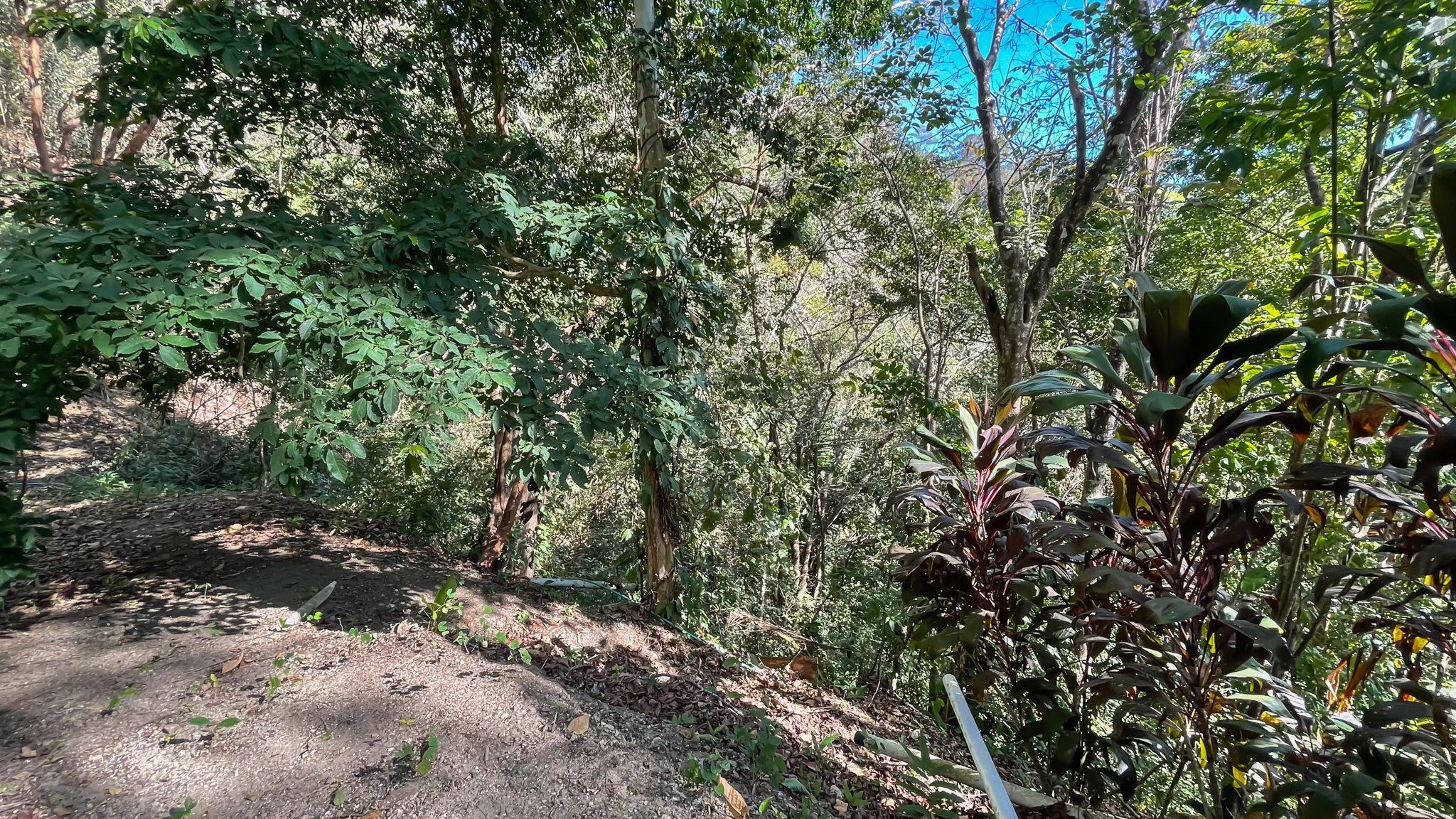 2 bed Land For Sale in Malpais, Puntarenas - thumb 15
