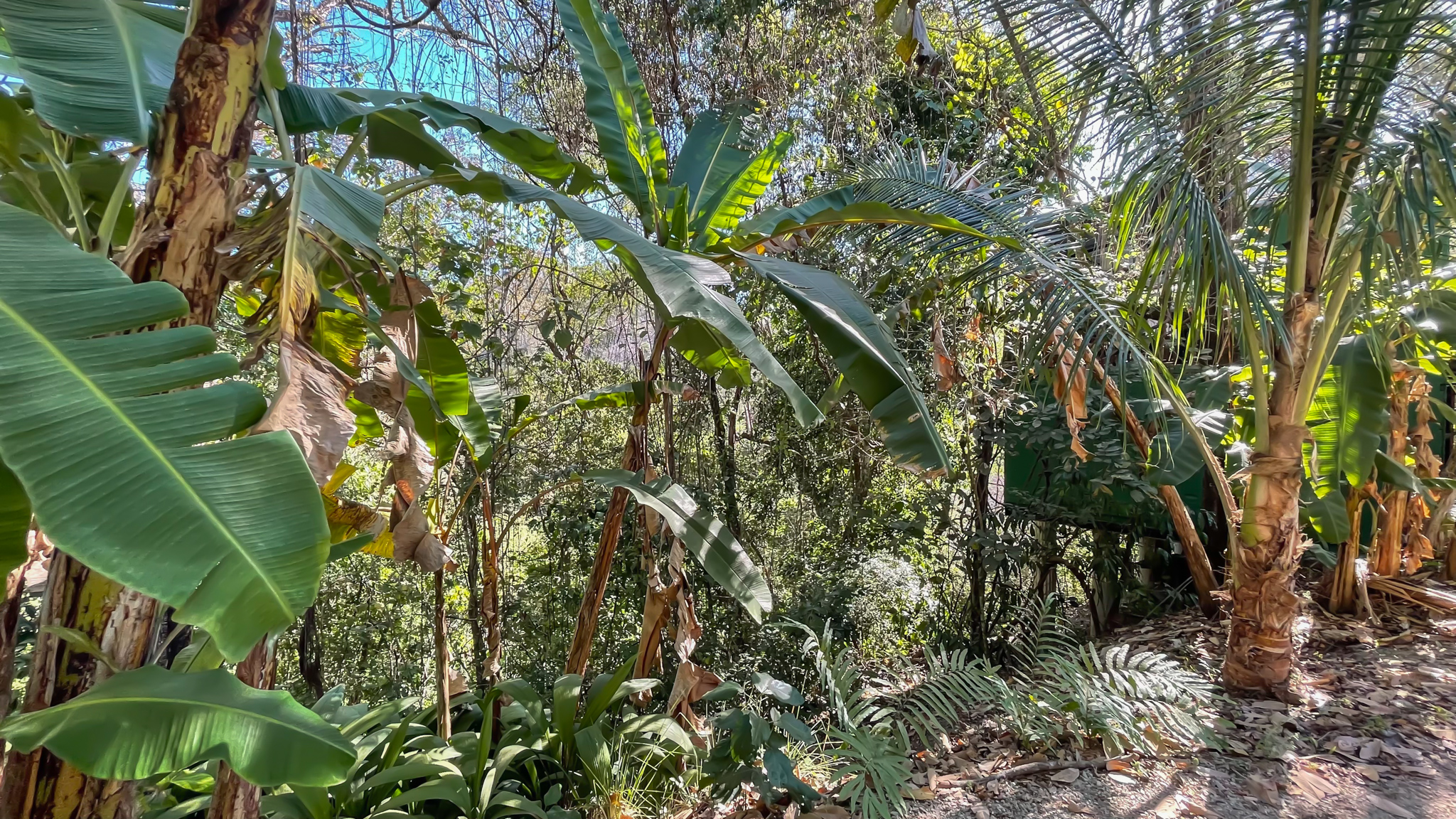 2 bed Land For Sale in Malpais, Puntarenas - thumb 19