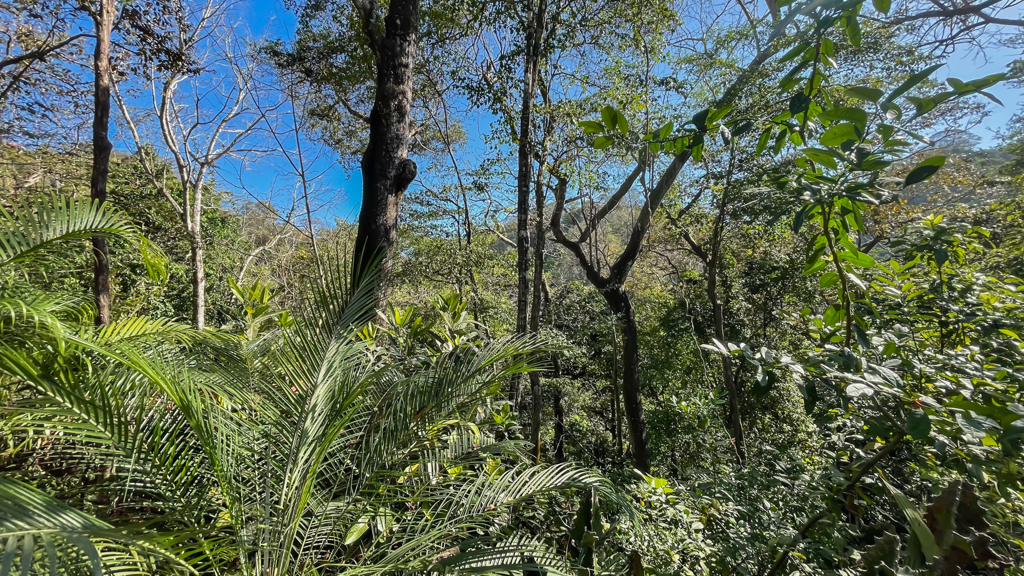 2 bed Land For Sale in Malpais, Puntarenas - thumb 12