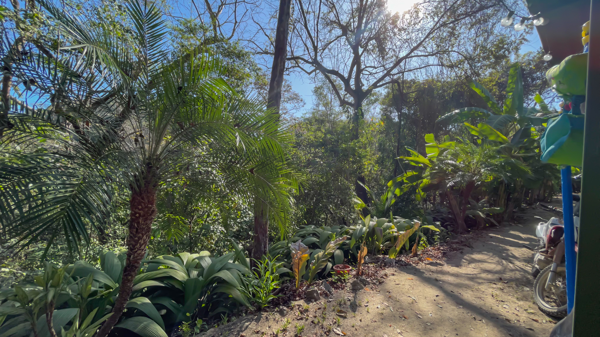 2 bed Land For Sale in Malpais, Puntarenas - thumb 11