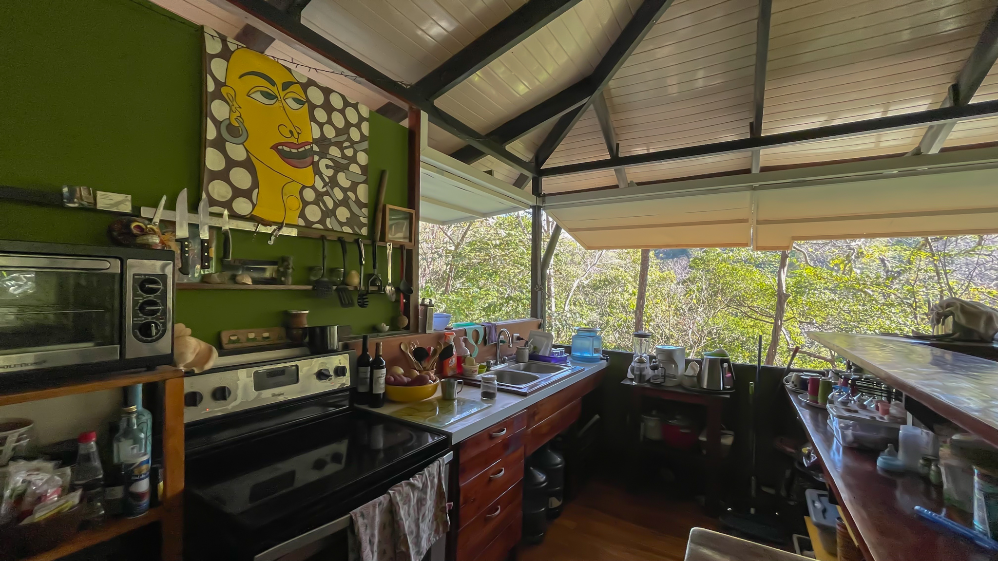 2 bed Land For Sale in Malpais, Puntarenas - thumb 13