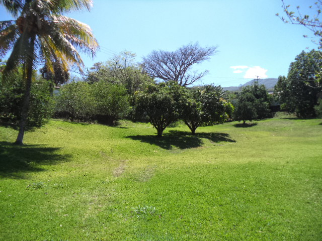 3 bed Land For Sale in Santa Ana, San Jose - thumb 9