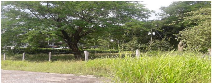 0 bed Land For Sale in Nicoya Peninsula, Guanacaste - thumb 2