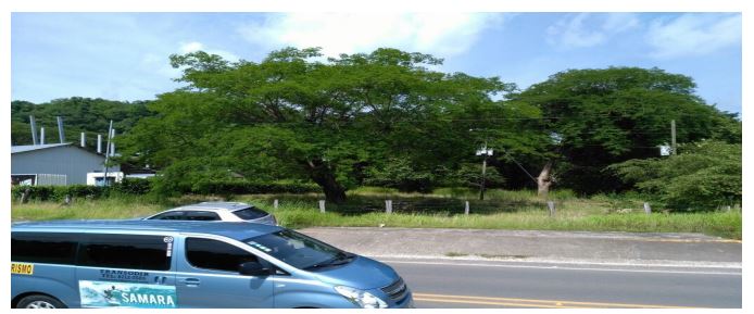 0 bed Land For Sale in Nicoya Peninsula, Guanacaste - thumb 1