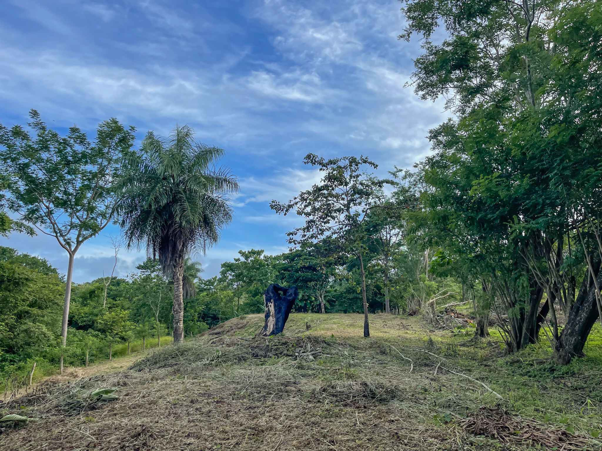 0 bed Land For Sale in Delicias, Puntarenas - thumb 11