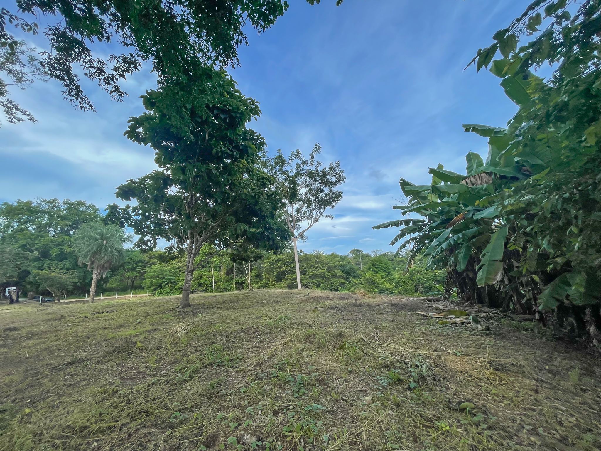 0 bed Land For Sale in Delicias, Puntarenas - thumb 10