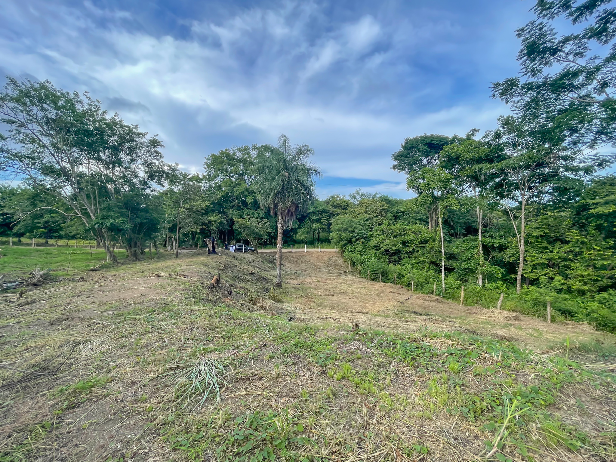 0 bed Land For Sale in Delicias, Puntarenas - thumb 14