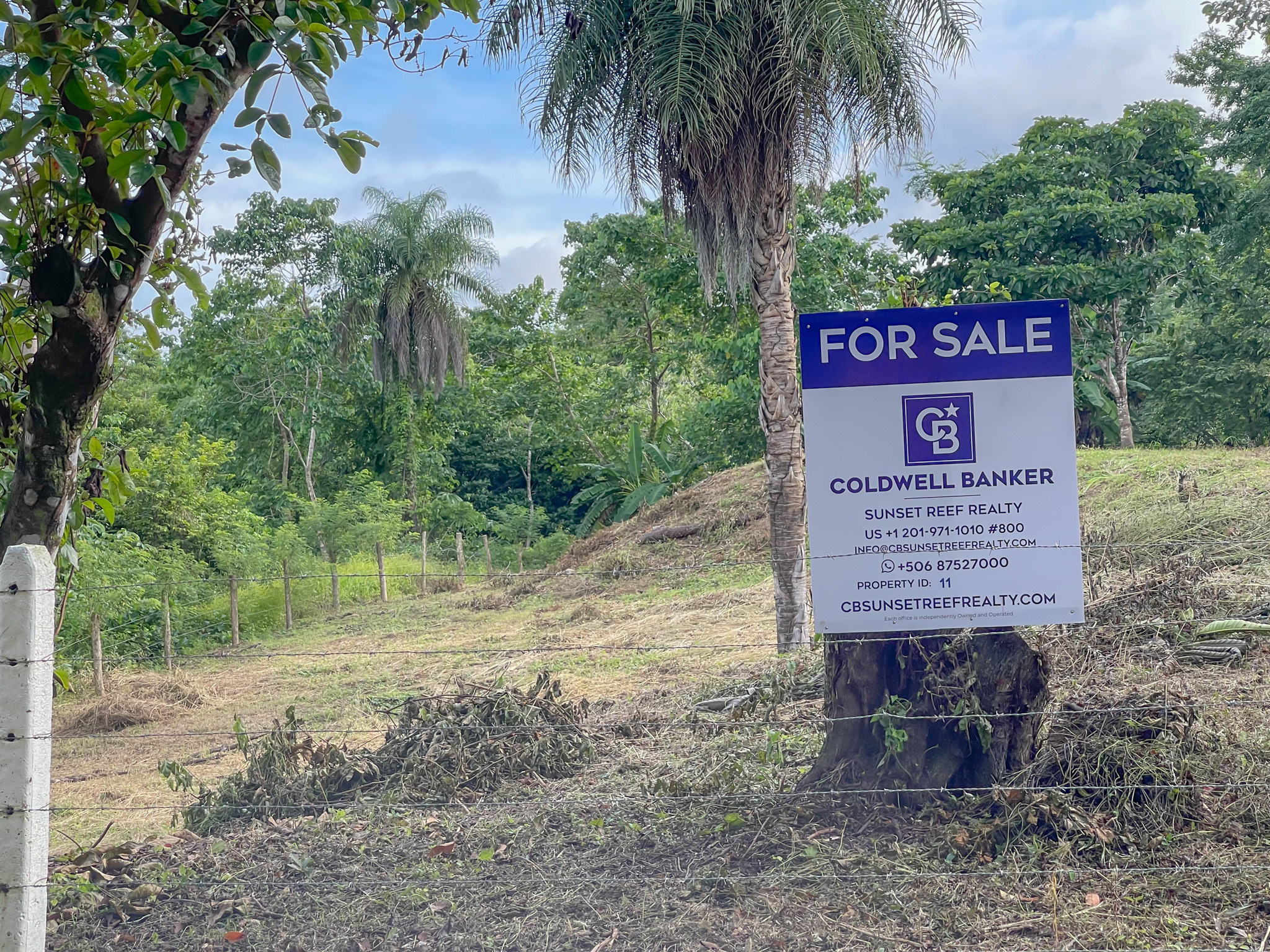 0 bed Land For Sale in Delicias, Puntarenas - thumb 19