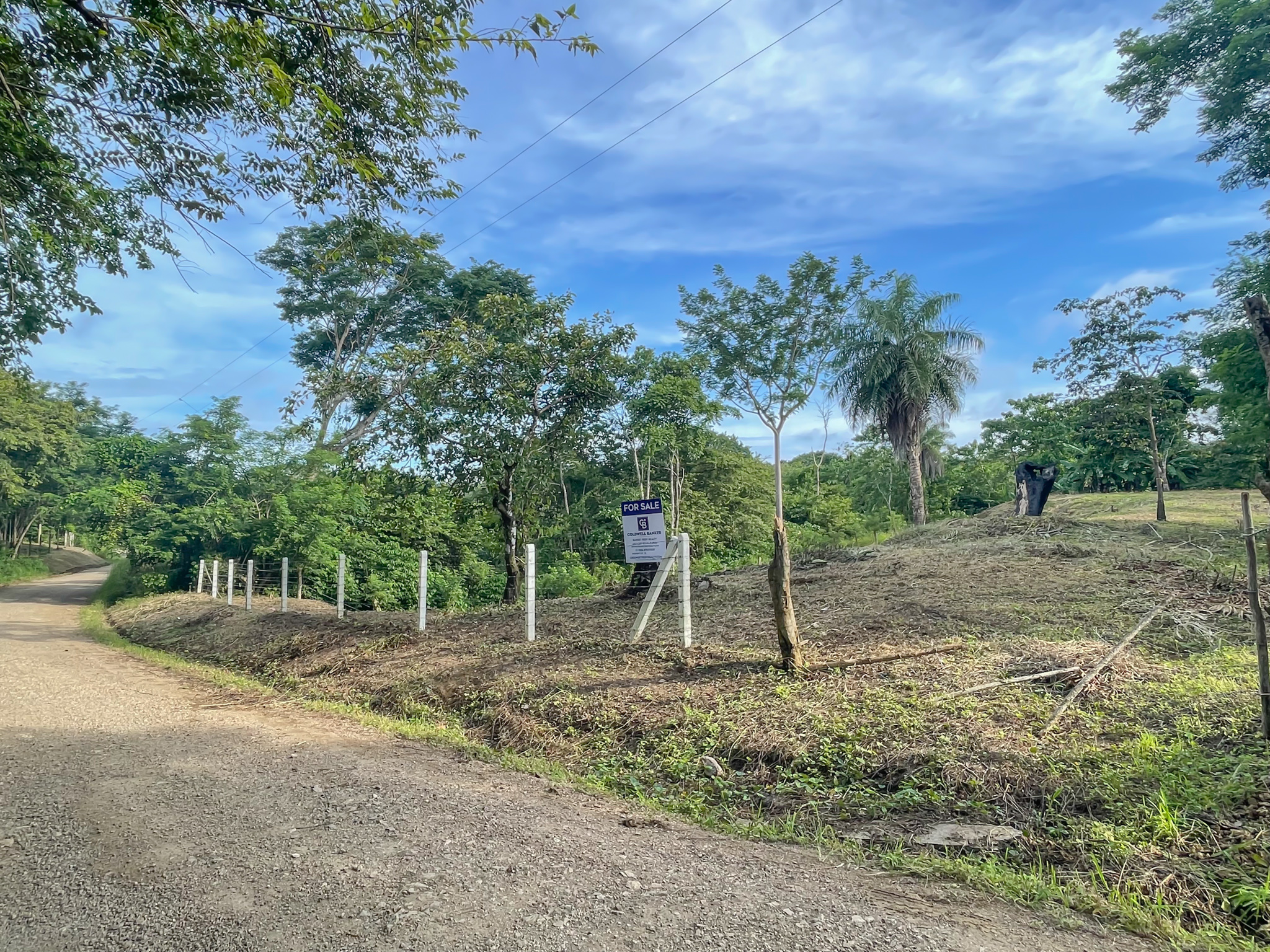 0 bed Land For Sale in Delicias, Puntarenas - thumb 18