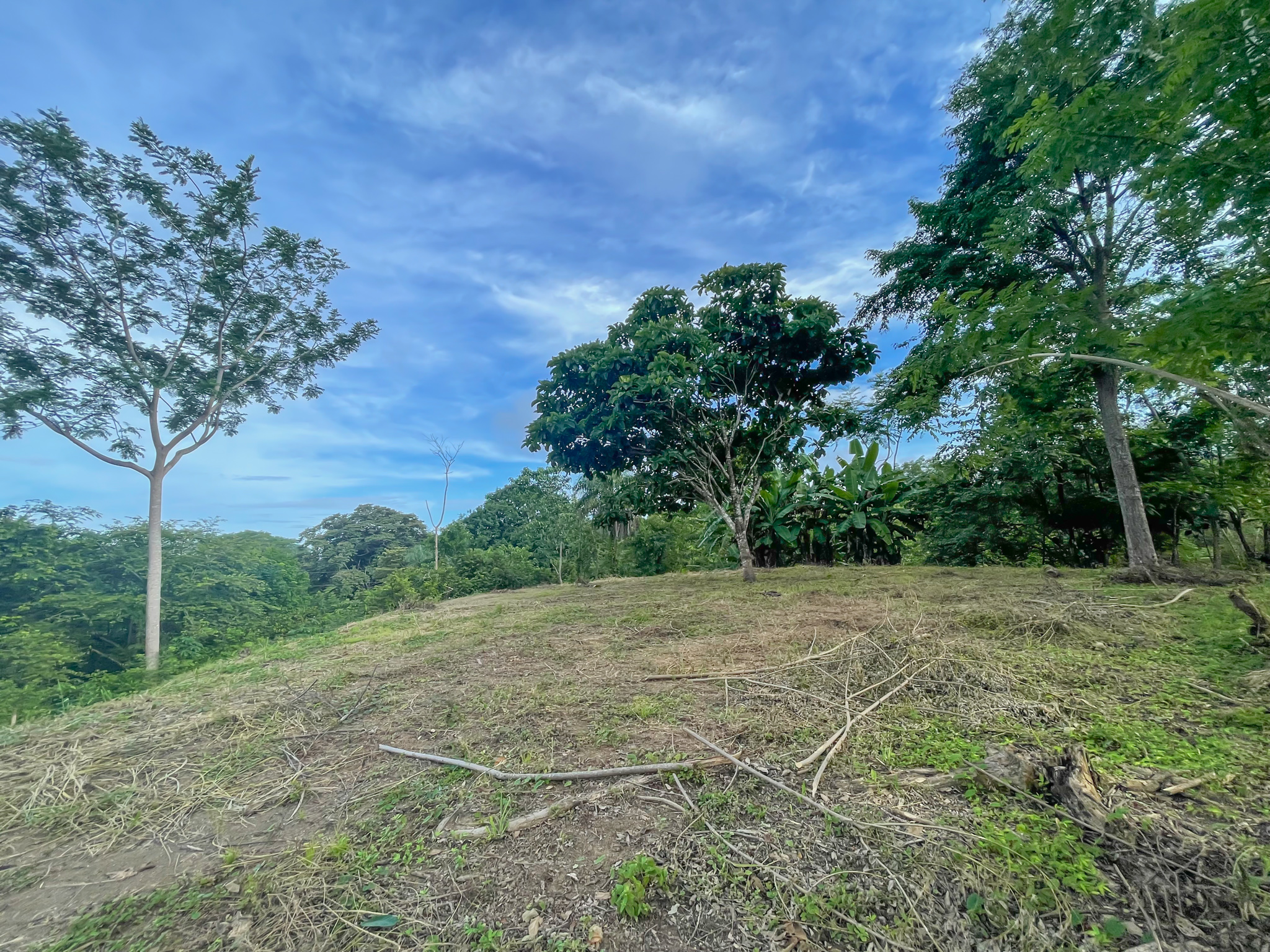 0 bed Land For Sale in Delicias, Puntarenas - thumb 3