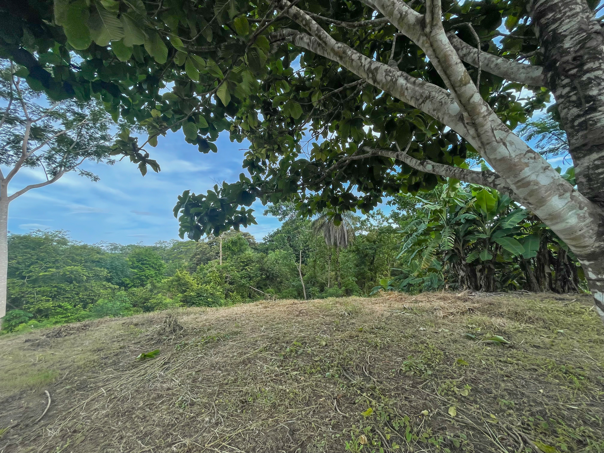 0 bed Land For Sale in Delicias, Puntarenas - thumb 13