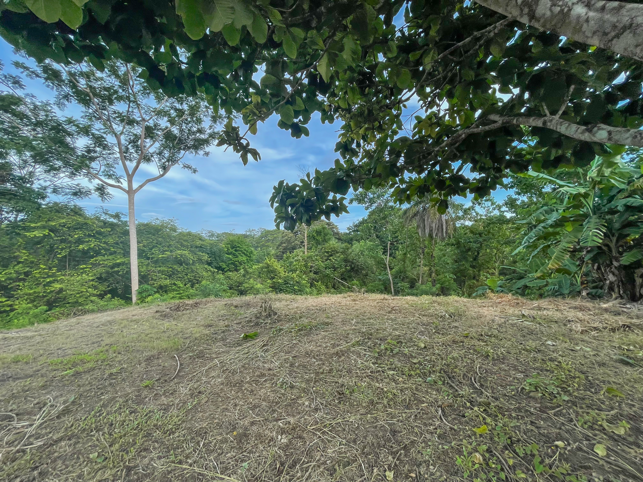 0 bed Land For Sale in Delicias, Puntarenas - thumb 12