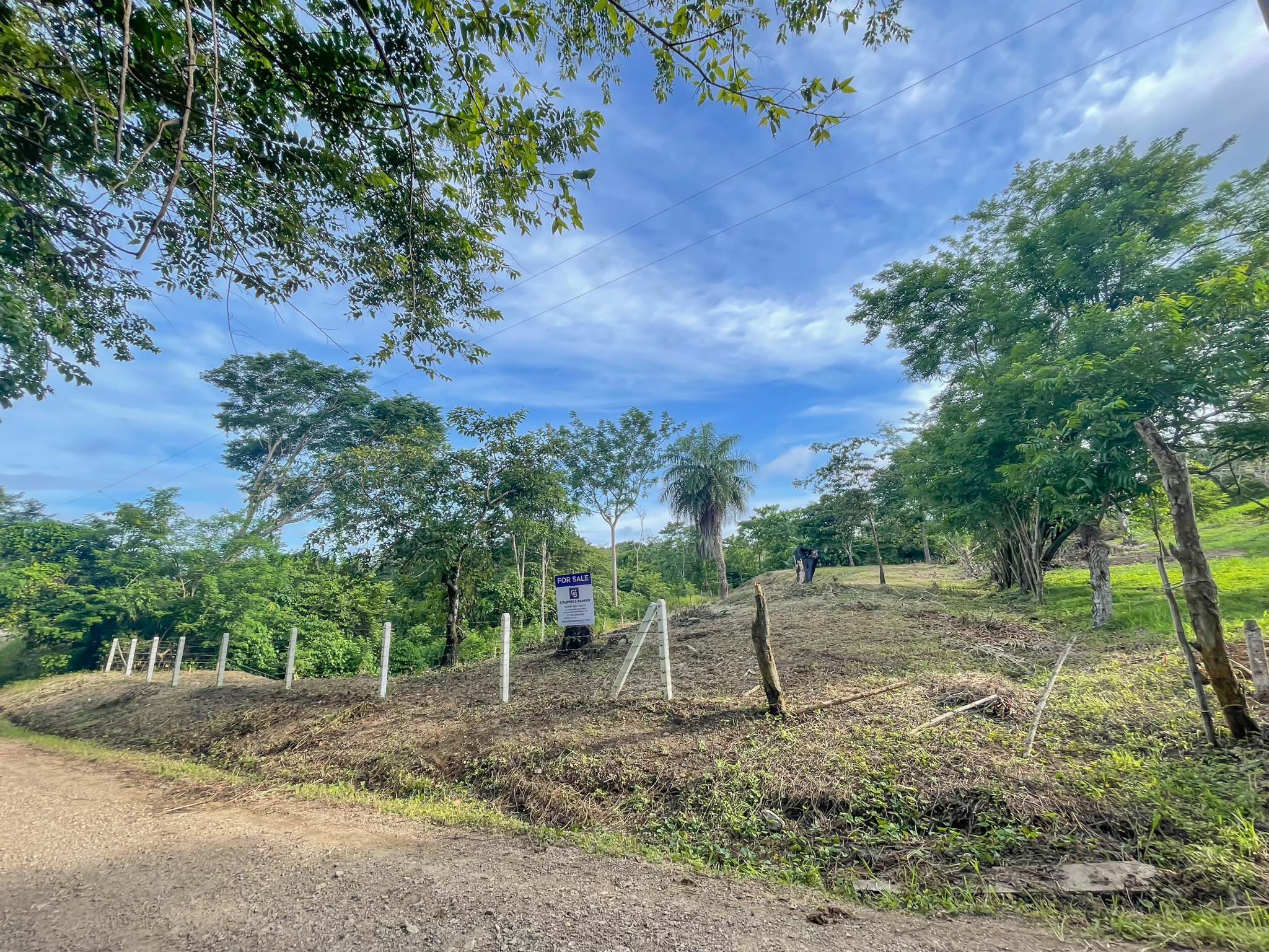 0 bed Land For Sale in Delicias, Puntarenas - thumb 16