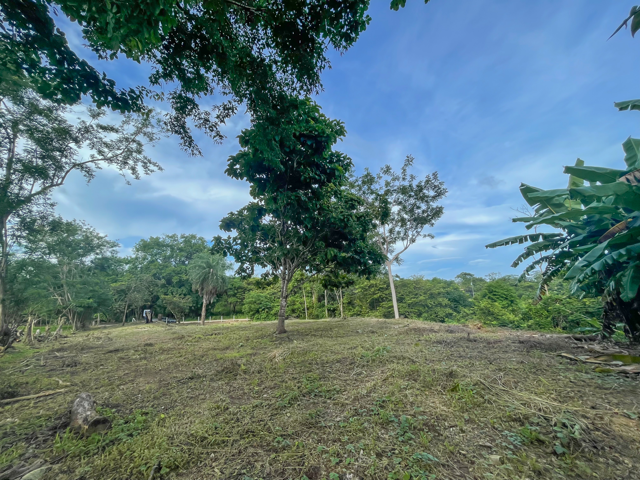0 bed Land For Sale in Delicias, Puntarenas - thumb 9