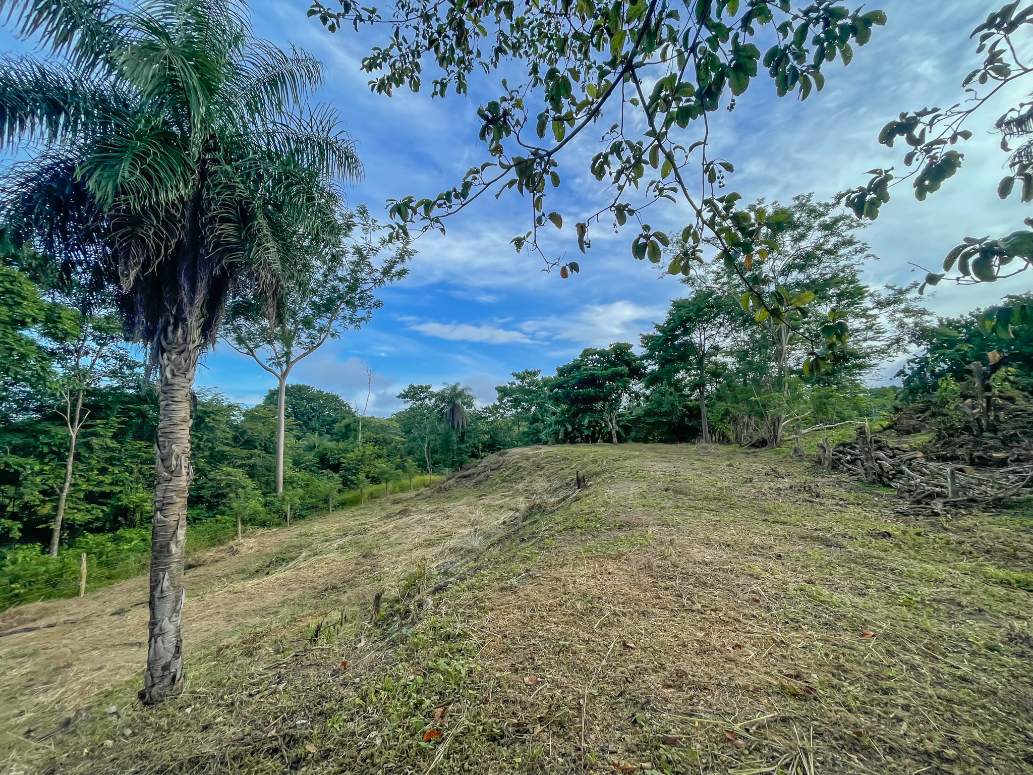 0 bed Land For Sale in Delicias, Puntarenas - thumb 1