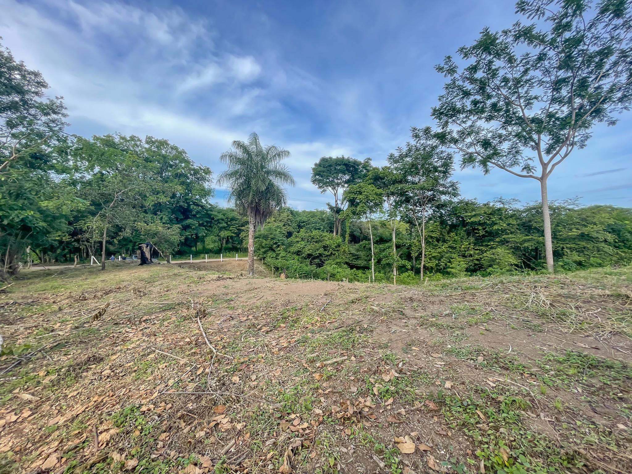 0 bed Land For Sale in Delicias, Puntarenas - thumb 5