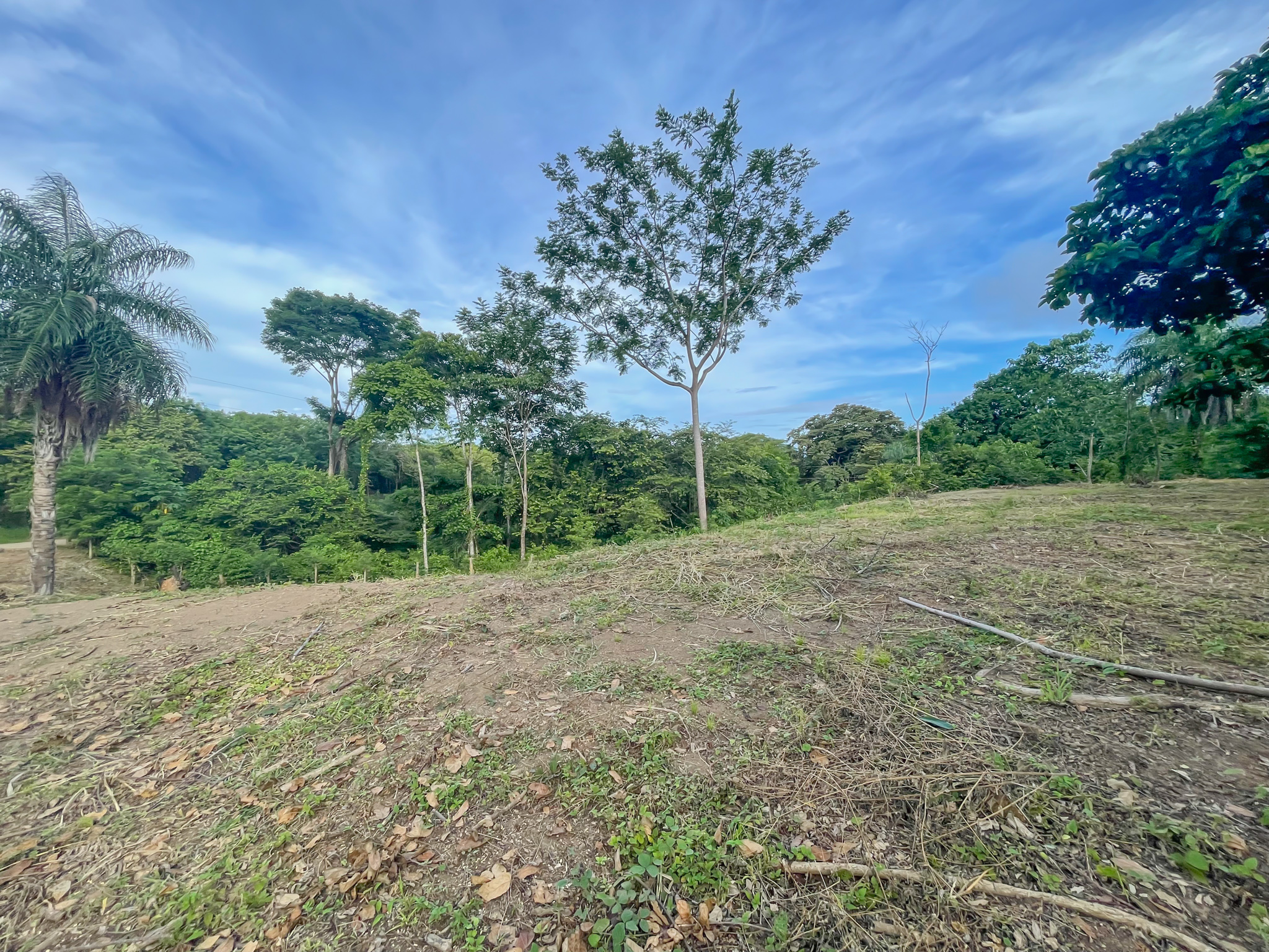 0 bed Land For Sale in Delicias, Puntarenas - thumb 4