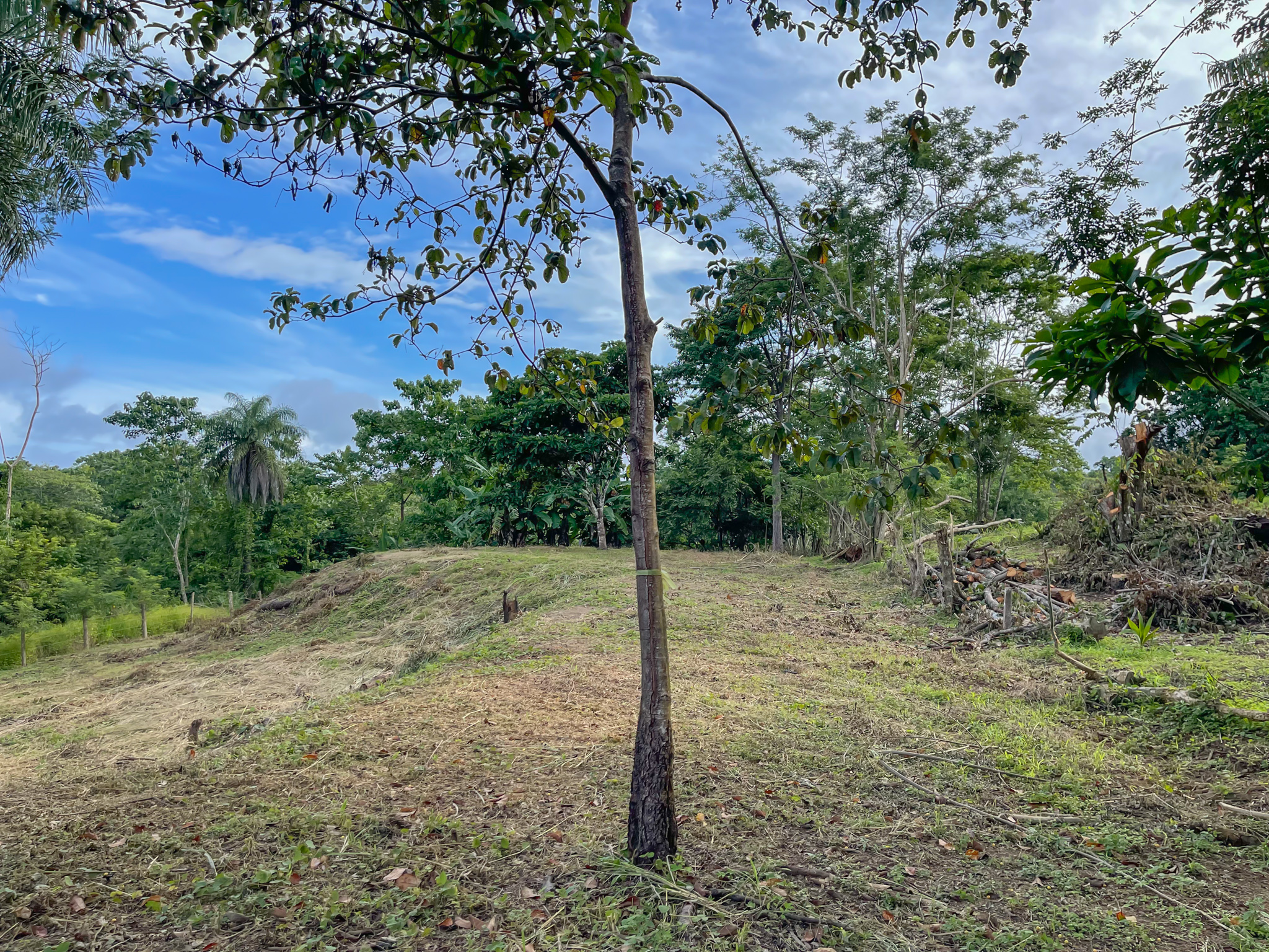 0 bed Land For Sale in Delicias, Puntarenas - thumb 2