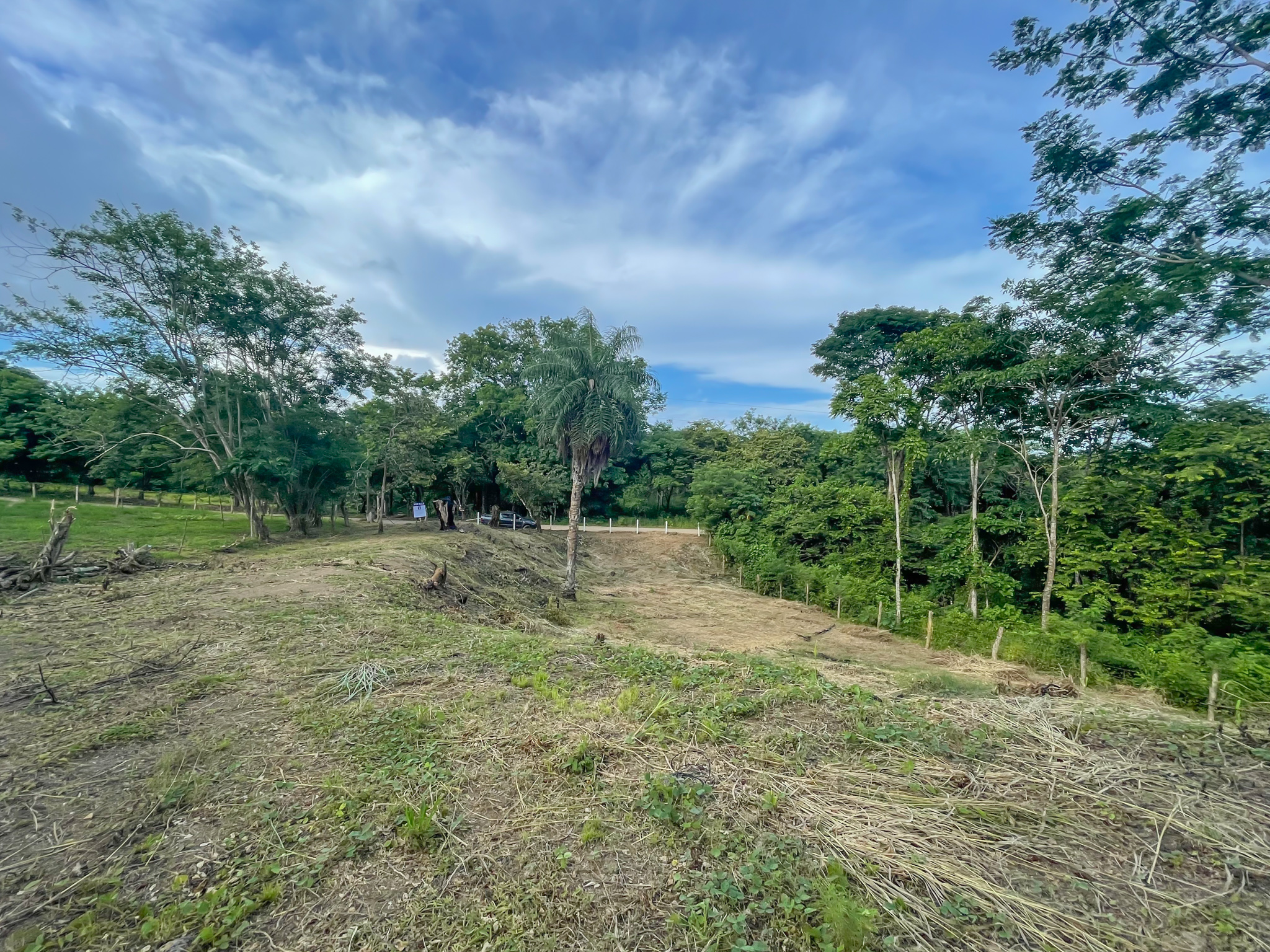 0 bed Land For Sale in Delicias, Puntarenas - thumb 8