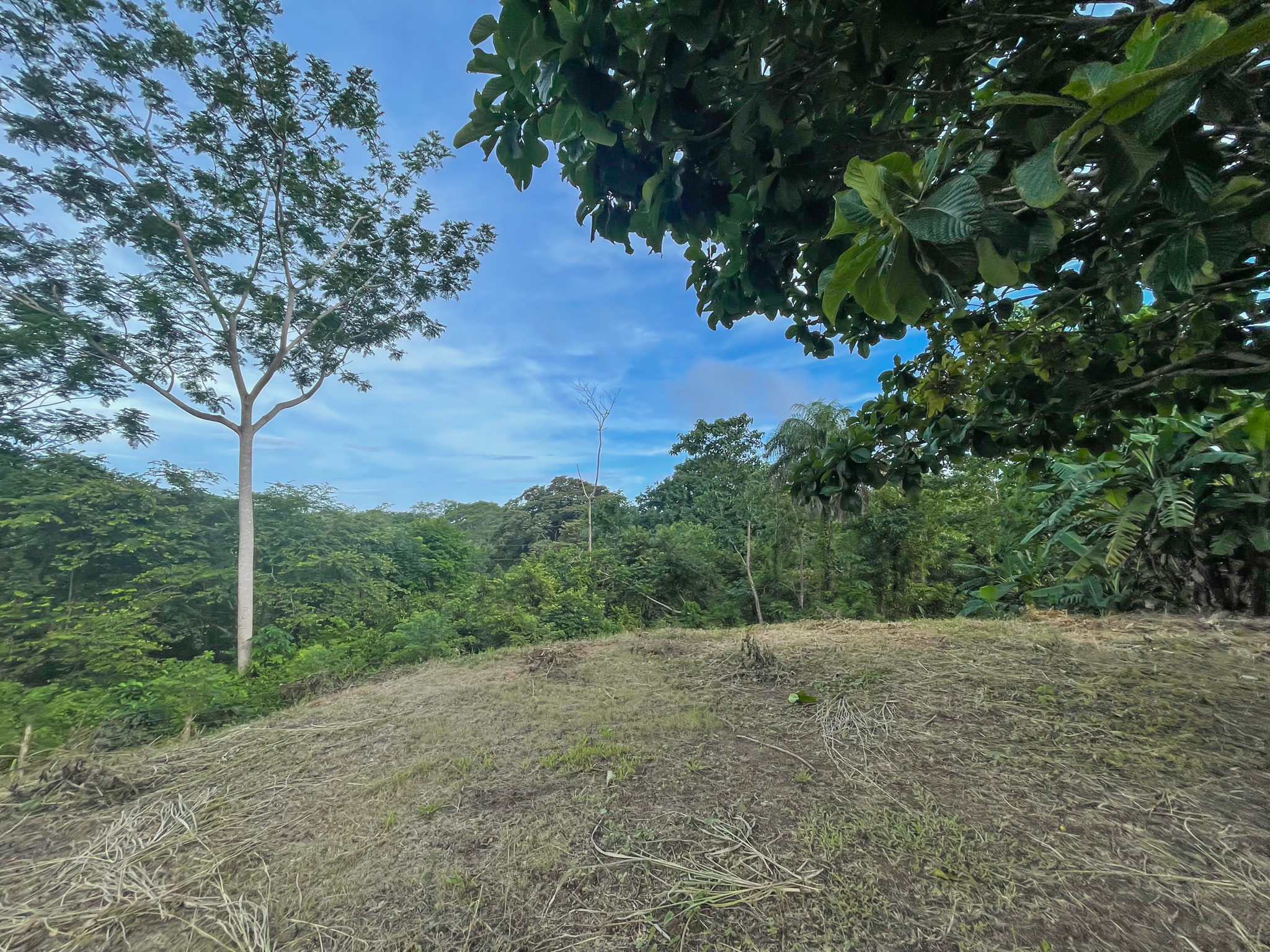 0 bed Land For Sale in Delicias, Puntarenas - thumb 7