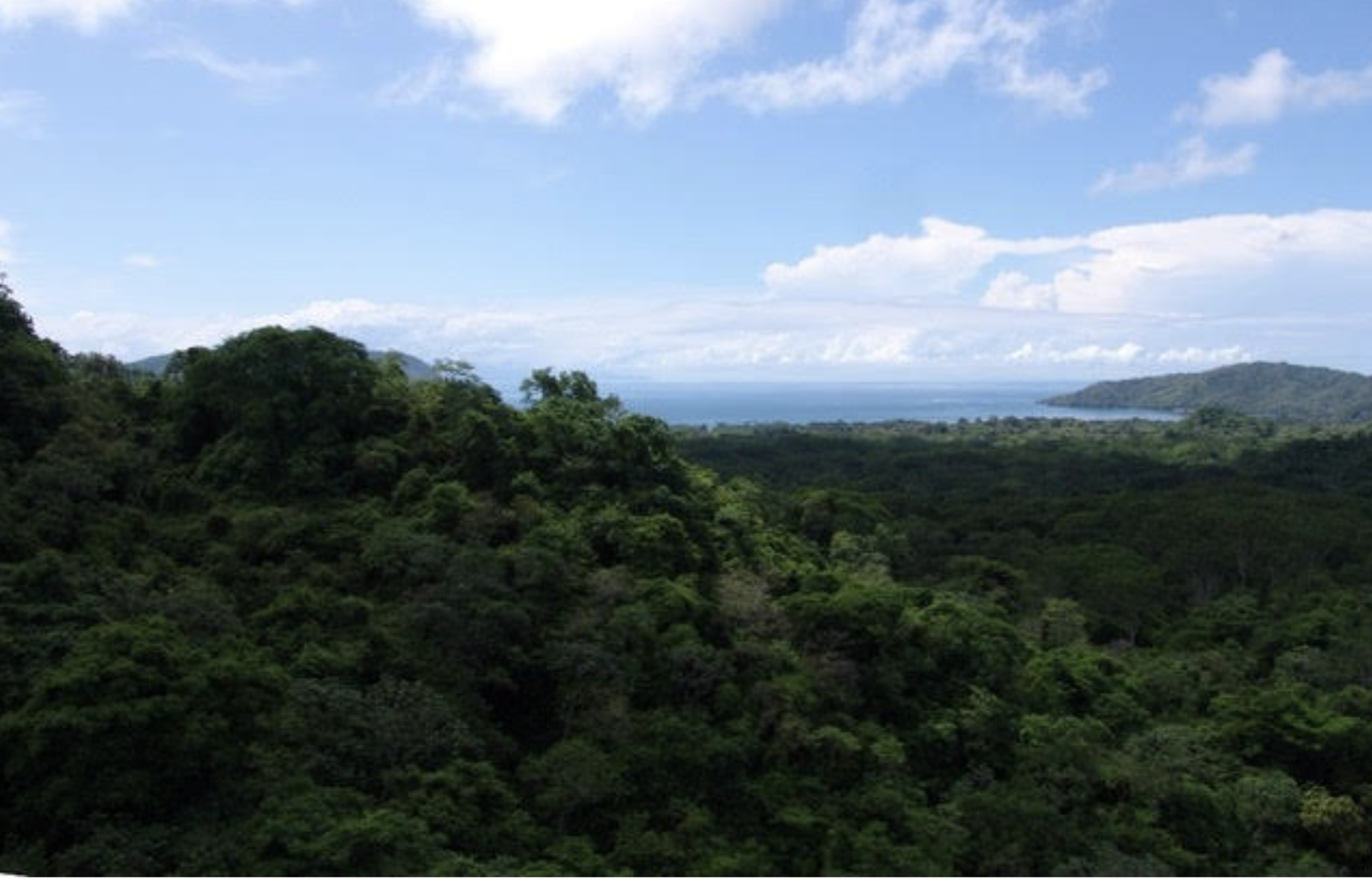 0 bed Land For Sale in Tambor, Puntarenas - thumb 12