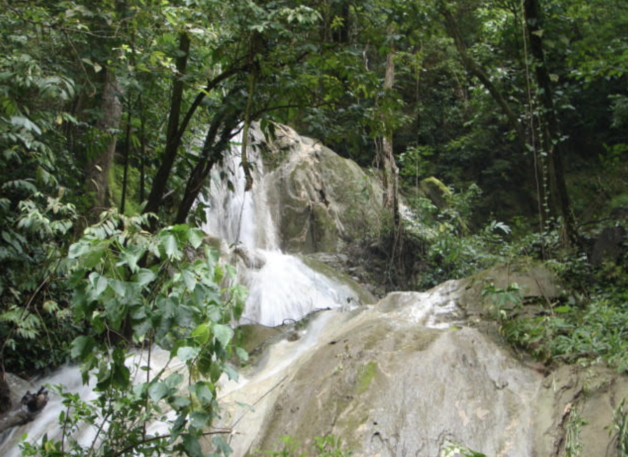 0 bed Land For Sale in Tambor, Puntarenas - thumb 9