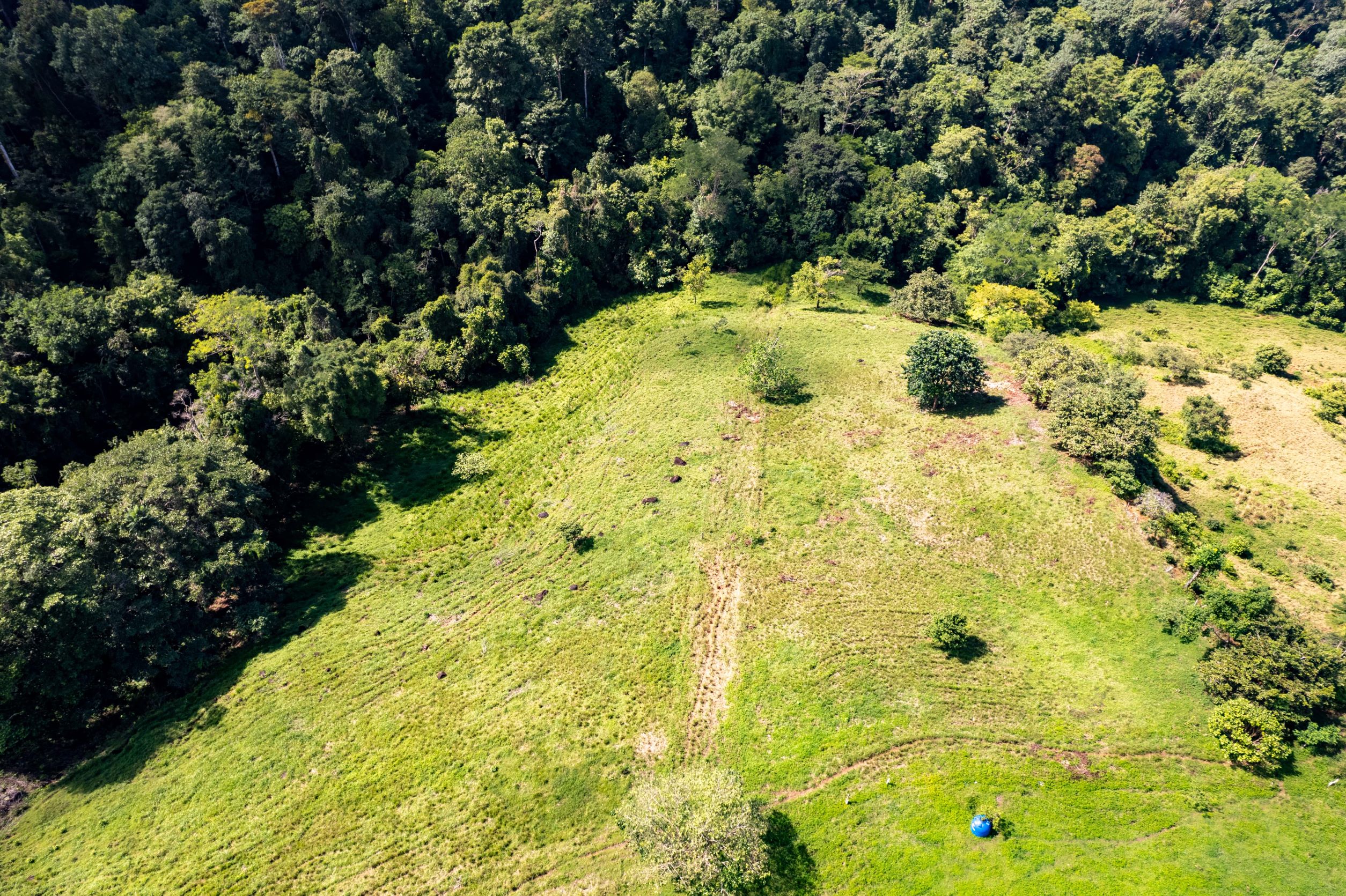 0 bed Land For Sale in Uvita, Puntarenas - thumb 4