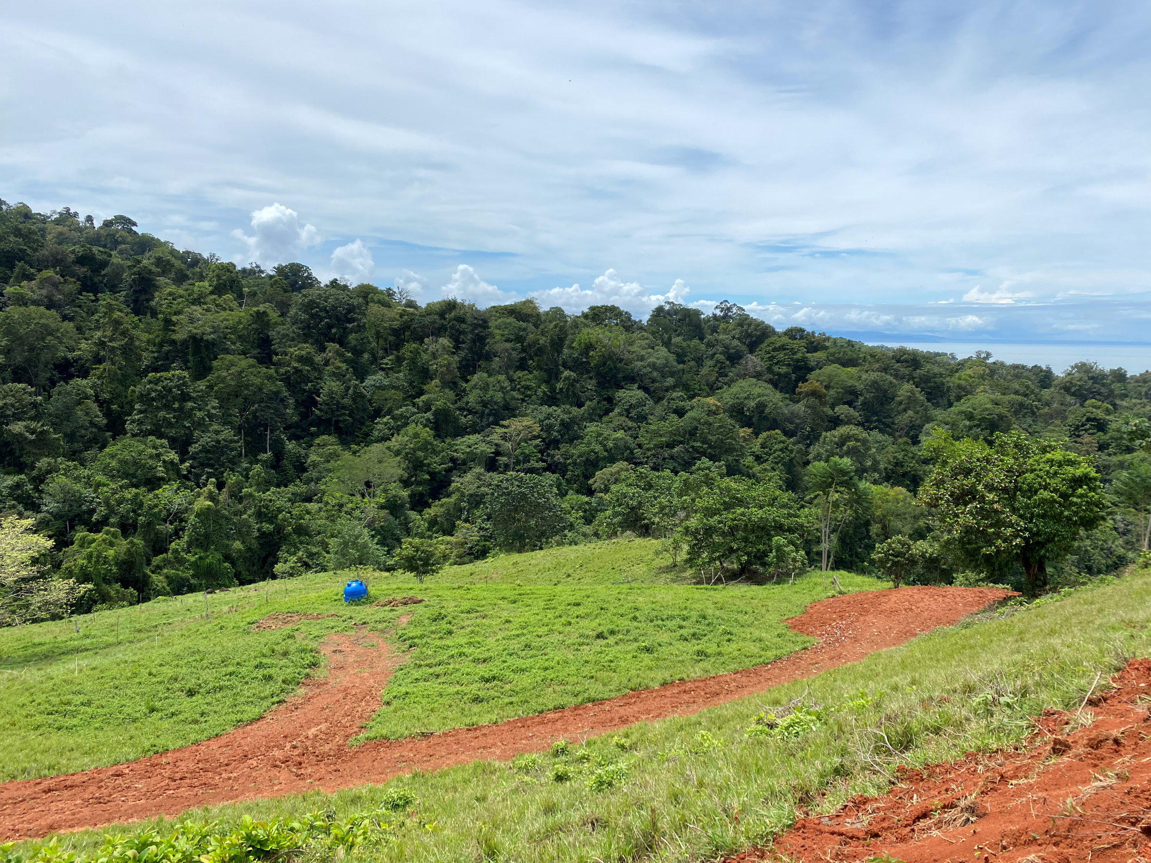 0 bed Land For Sale in Uvita, Puntarenas - thumb 12
