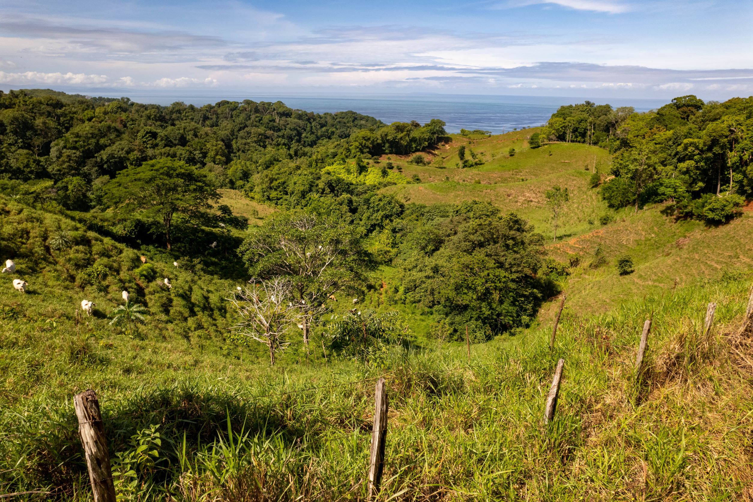 0 bed Land For Sale in Uvita, Puntarenas - thumb 3