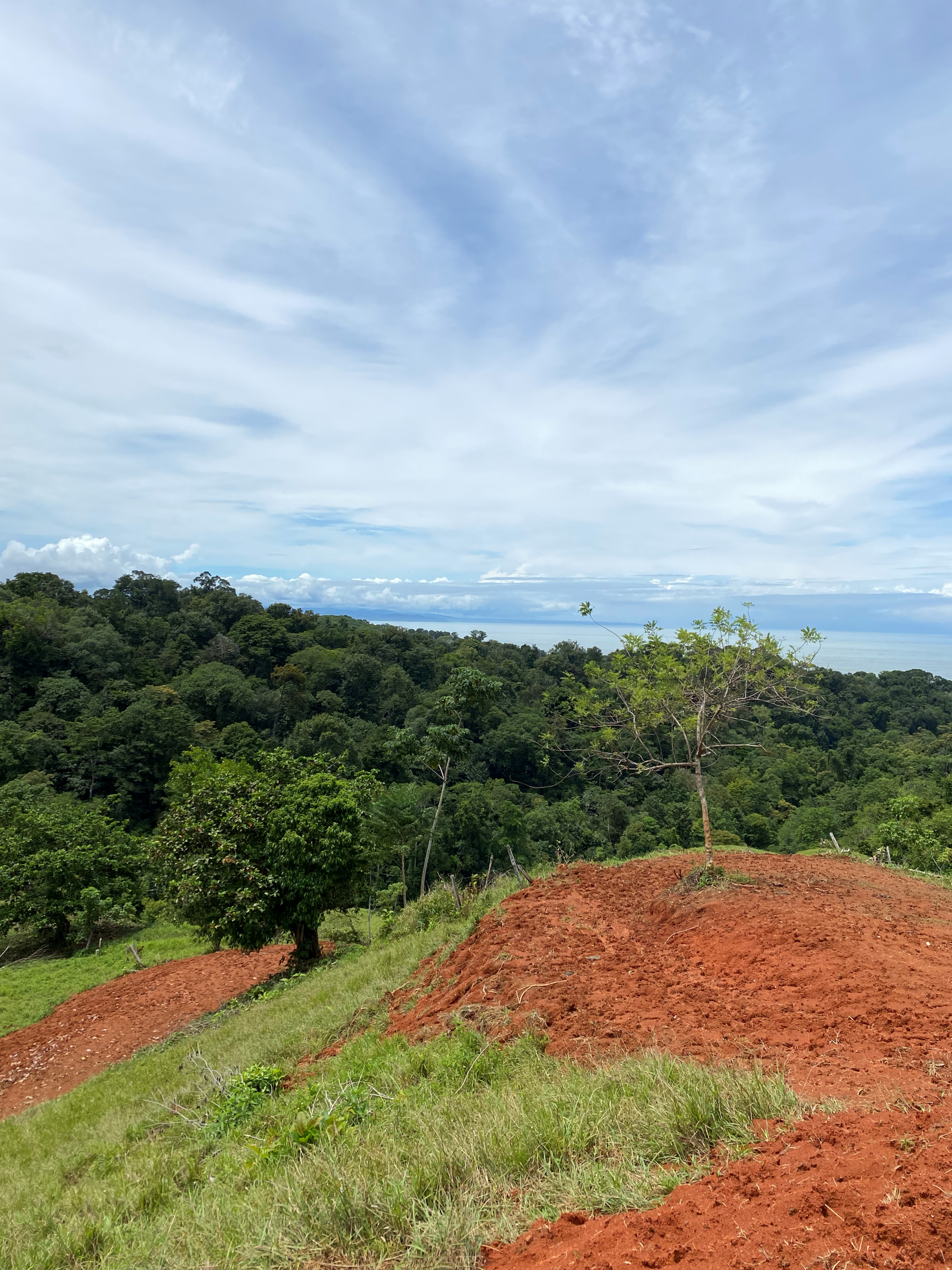 0 bed Land For Sale in Uvita, Puntarenas - thumb 9