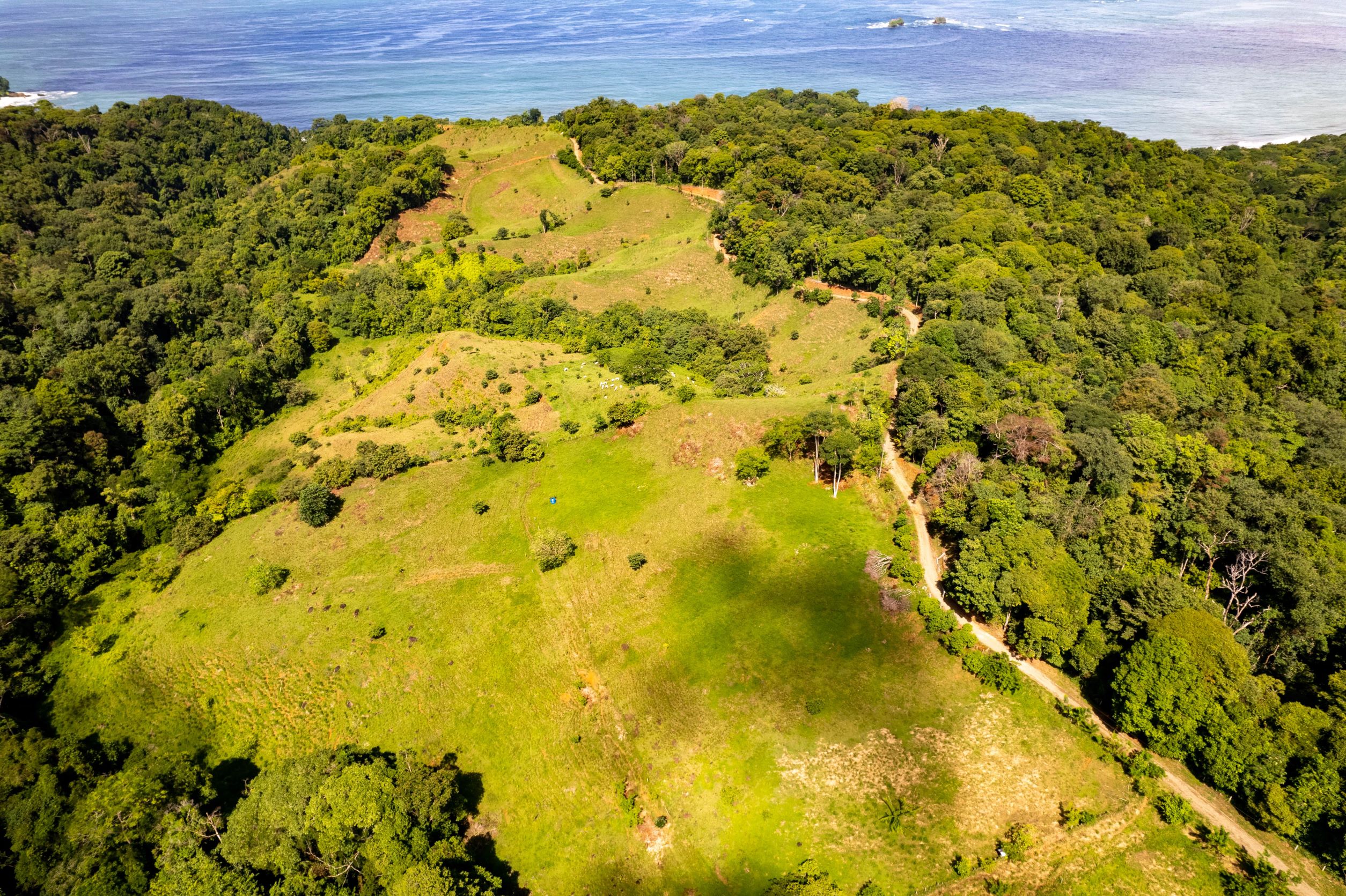 0 bed Land For Sale in Uvita, Puntarenas - thumb 6